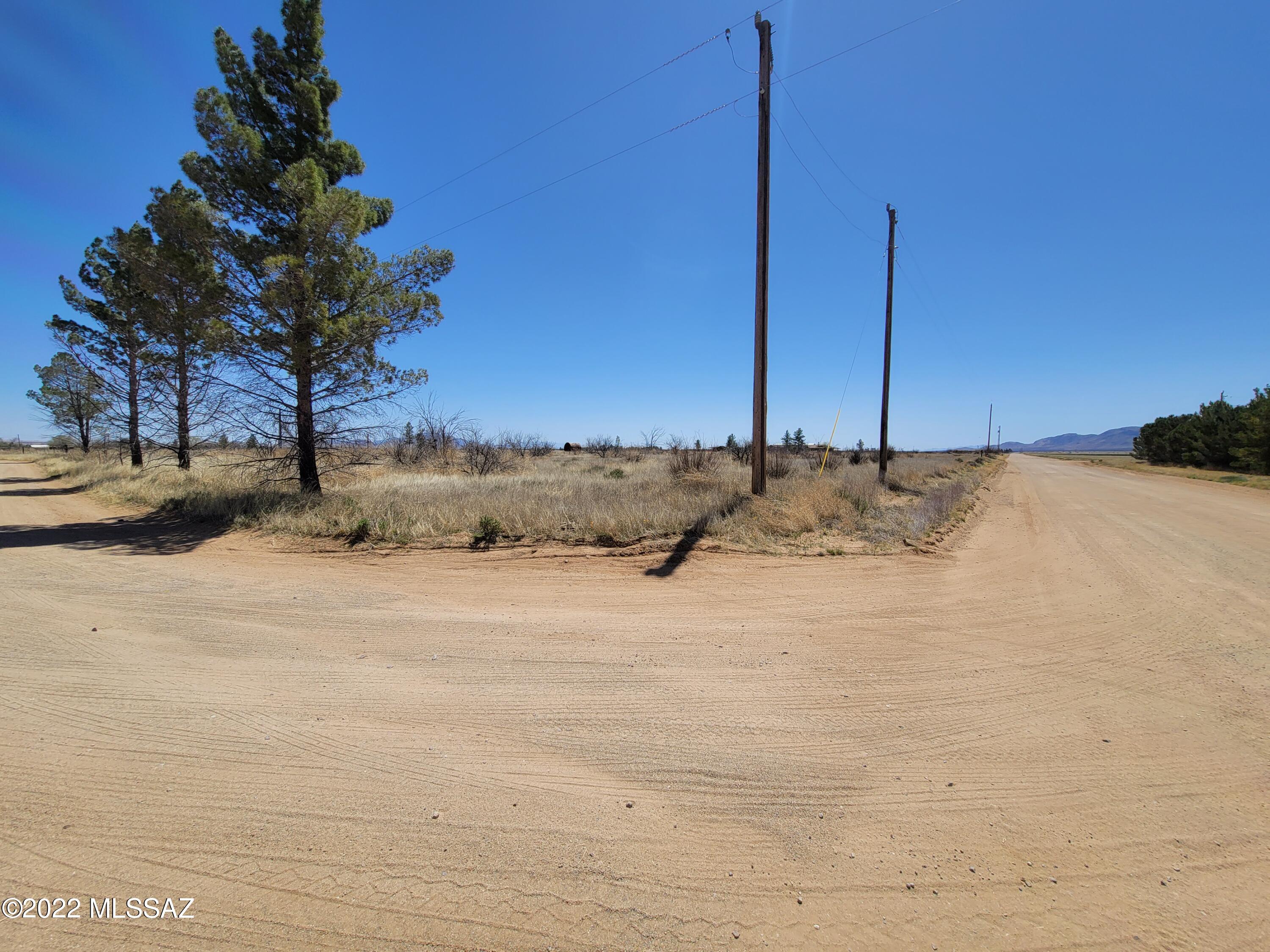 5.24 acres, Corner lot with a 200 amp Electrical service, septic ( unknown Condition) and dry well.  This property is ready for you to Build new home or Bring in that New Manufactured Home. Beautiful Unobstructed Views of the Winchester Mountains, extremely quiet yet not far from town and access on to the property from Old Ft Grant Rd which is COUNTY maintained!!  2 -2.62 acre parcels are included in the Sale, Taxes and acreage are a combination of both parcels. Parcel # 209-09-239 & 209-09-240.  Wells was just inspected years ago and found to be dry ( no report to share). It may be possible to deepen it, Buyer to investigate with Well Driller of their choosing.  It is 249' deep with 8'' casing. Wells in area are 350'. This property previously has a Home on it that burnt down.  Seller has done some clean up on the Property.  Taxes still reflect the home as being present.  Septic on the property will not be inspected by the Seller, if important to the Buyer, they must pay for that inspection.  Buyer will be required to sign a statement and wavier to that.