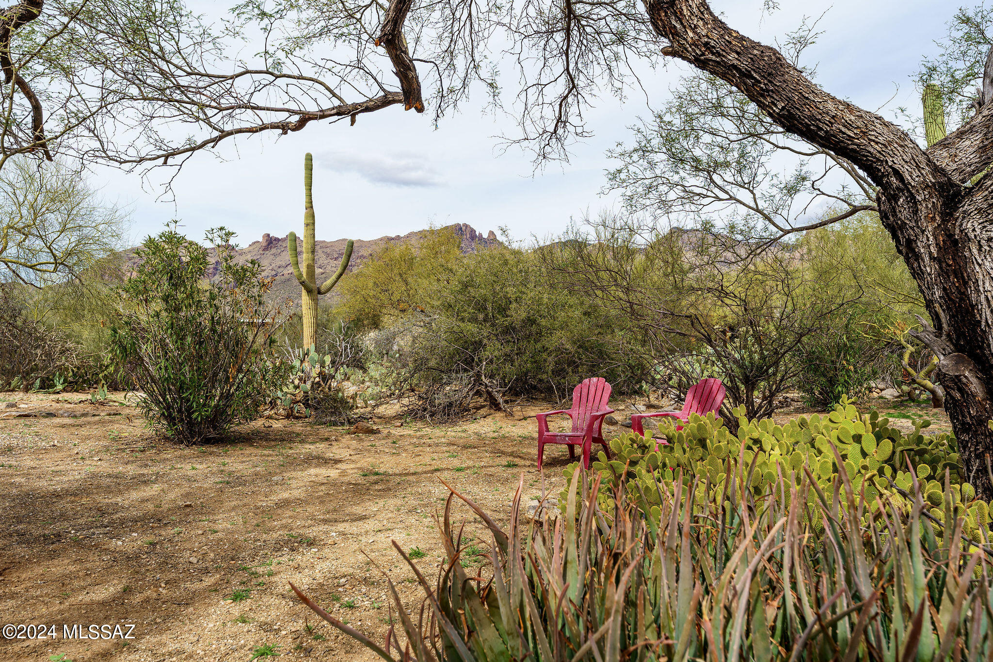 Coronado Foothills Estates - Residential