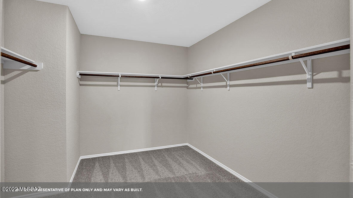 Saguaro Bloom SQ20180540069 - Residential