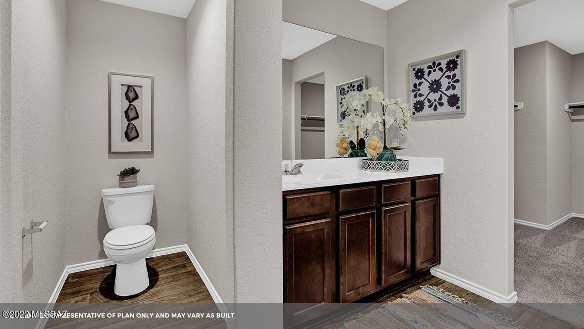 Saguaro Bloom SQ20180540069 - Residential
