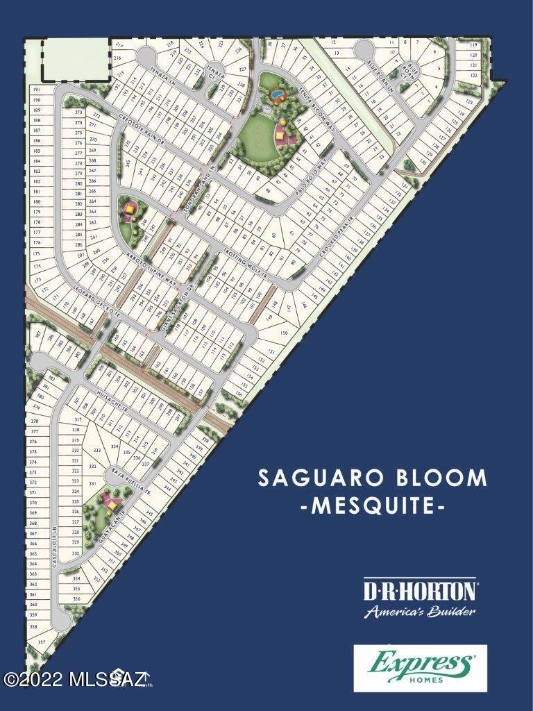 Saguaro Bloom SQ20180540069 - Residential