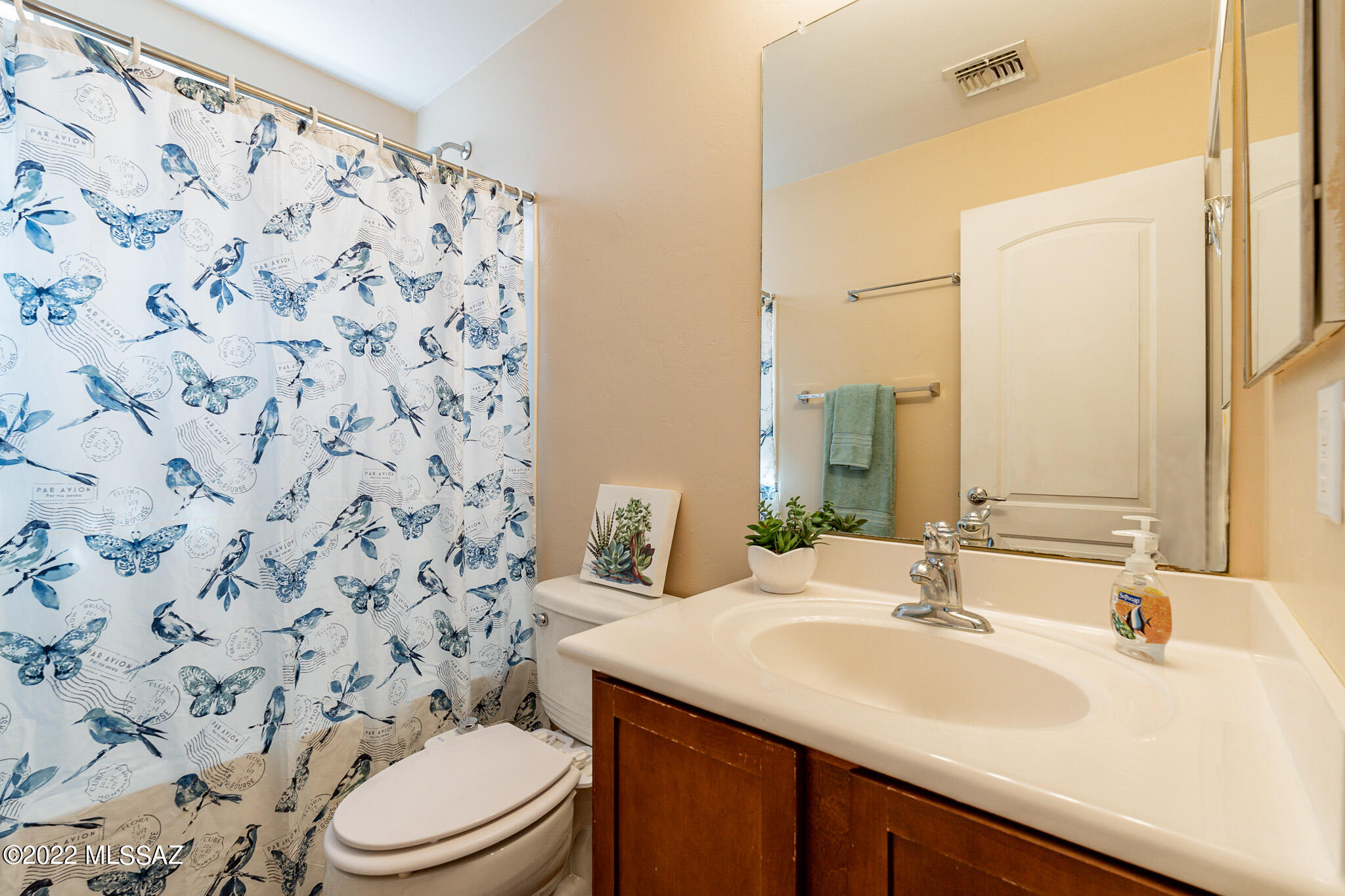 Sonora At Rancho Sahuarita (Lot 700-1010) - Residential