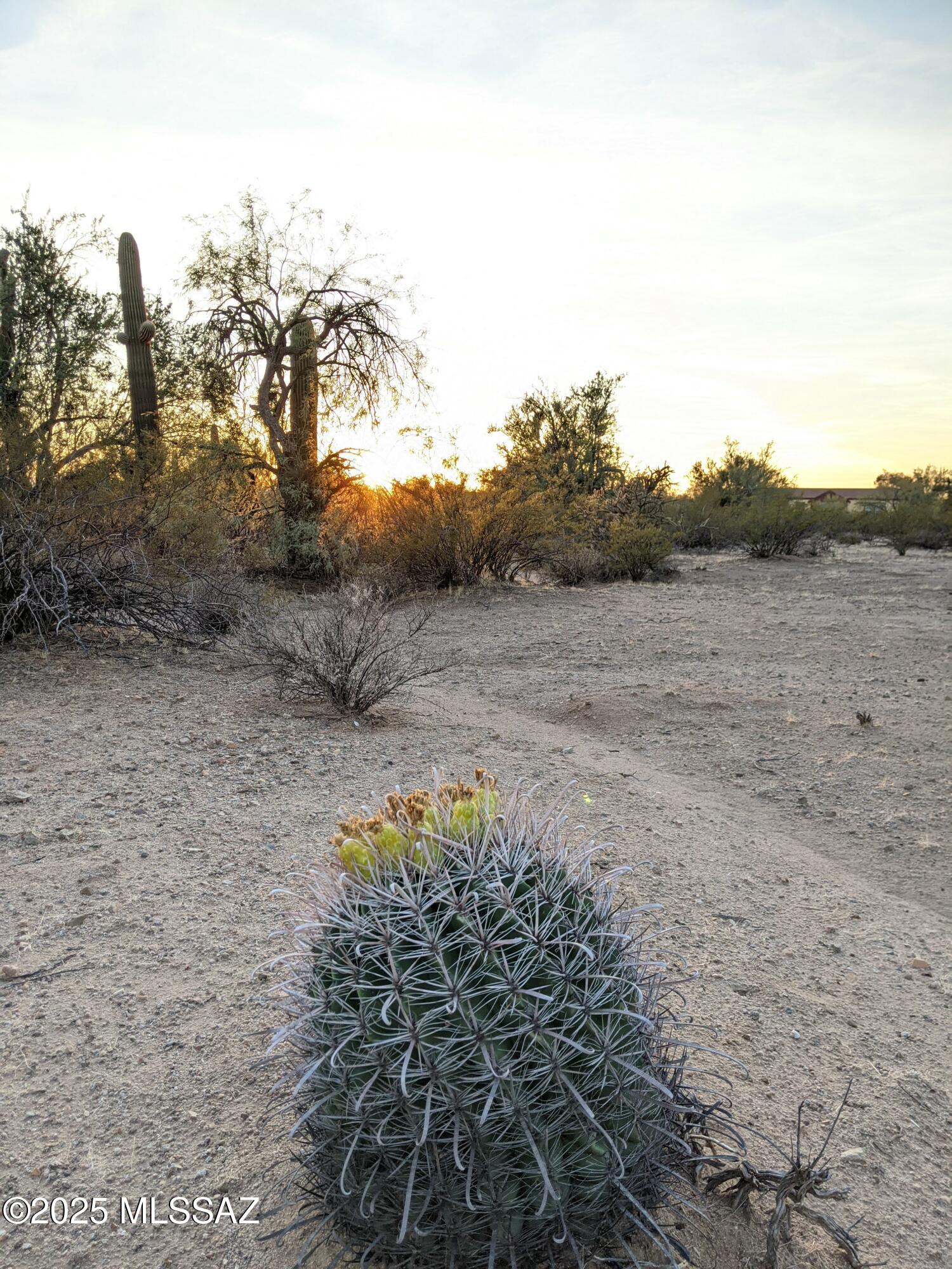 SELLER IS VERY MOTIVATED!!!  This lovely, flat, saguaro studded  4.6 acres is fenced on two sides and located in the wonderful community of Picture Rocks. Close to schools, Community Center and Saguaro National Park. Build a Custom home or place a Manufactured home on this 4+ acres of land with room for your animals and toys. Corner lot with wide open mountain views. Come live the good life away from the hustle and bustle of city life and the confines of an HOA. Avra water line is at the NW lot line and Electric is very close.
