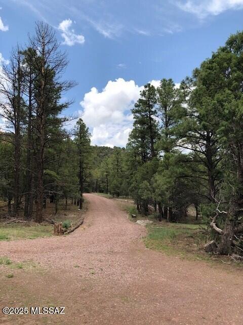 LARGEST PARCEL AVAILABLE IN NUTRI/ALPINE AREA!! Located amidst the scenic beauty of Nutrioso, Arizona in the spectacular, popular White Mountains. NO HOA!! This rare 105-acre property is a haven nestled within a dense forest of majestic Ponderosa Pines, Junipers and Maple trees. Offering unparalleled privacy and seclusion, the land features breathtaking views and a serene atmosphere. A private 900+/- foot well, pump and storage tank ensure a reliable, clean water supply with one of the best wells for miles around. This most important improvement is complemented by an already installed extensive septic system. Adding to its allure, a luxurious 45-foot 2018 Pinnacle Jayco Fifth Wheel RV and new generator is included, providing comfortable accommodations amid this idyllic natural setting. There is also a large storage building for some for some of your toys. This turnkey setup invites immediate enjoyment and promises many years of relaxation away from the city's hustle and bustle. This foundation set RV can also be used as a perfect guest house with numerous other excellent homesites to choose from for your future home or cabin nearby. Access throughout the property is facilitated by a good road/trail network, catering to recreational activities and easy maneuverability for vehicles and equipment. This property can also be further subdivided if you desire in the future for an excellent investment potential. Ideal for horse enthusiasts, the property is situated close to numerous lakes and streams, offering copious opportunities for outdoor adventures. The wildlife is abundant, and this property is located in the famed AZ Game and Fish Unit 1 known for excellent large herds of trophy elk, mule deer, black bear, Merriam's Turkey and more. At an elevation of 8,000 feet, the climate is absolutely beautiful with four distinct seasons, providing a refreshing escape from lower elevations' heat. This prime land boasts some of the highest elevation deeded acreage available in the state! Free from homeowners' association restrictions, it offers unmatched freedom and flexibility. This legacy property presents a very unique chance to own a piece of Arizona's wooded paradise, where the tranquil beauty of Ponderosa Pines meets the promise of endless outdoor adventures. Make a trip up and start creating lasting memories with your friends and family in a serene and captivating setting for generations to come.