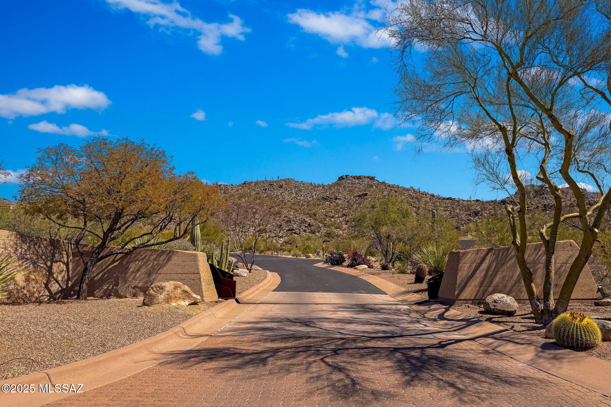 Canyon Pass III At Dove Mountain (111-181) - Land