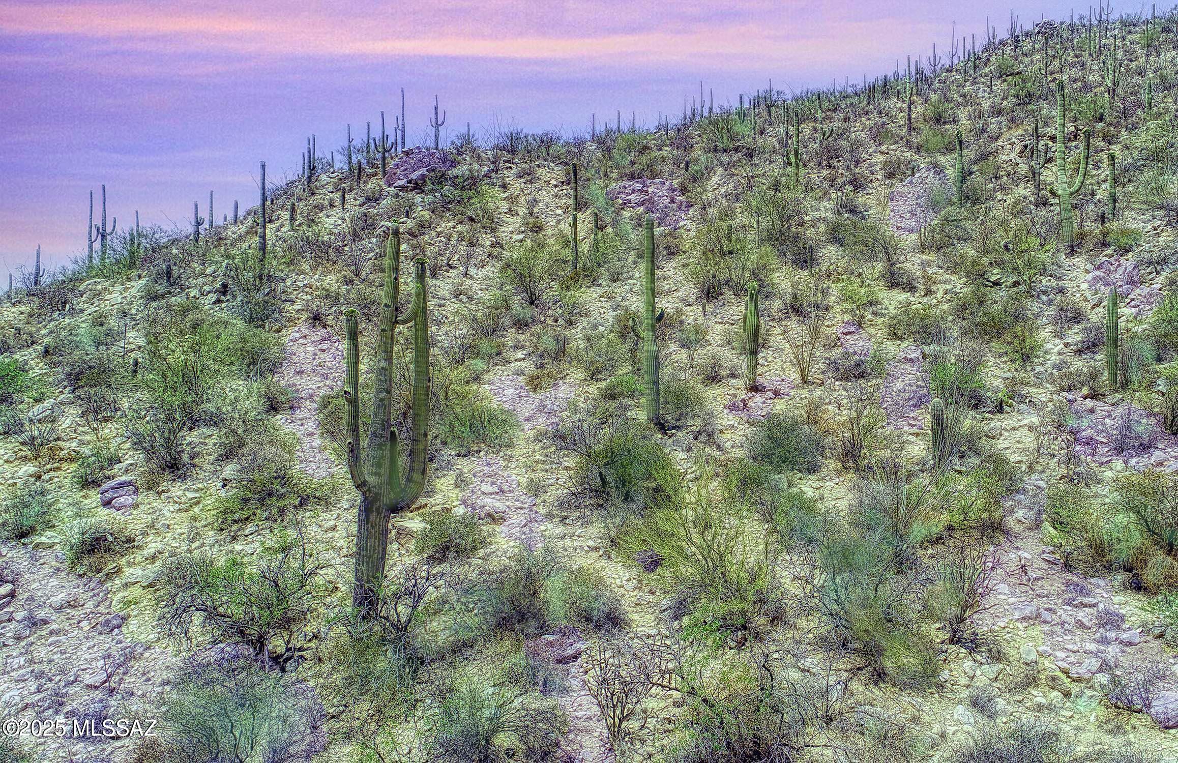 Canyon Pass III At Dove Mountain (111-181) - Land