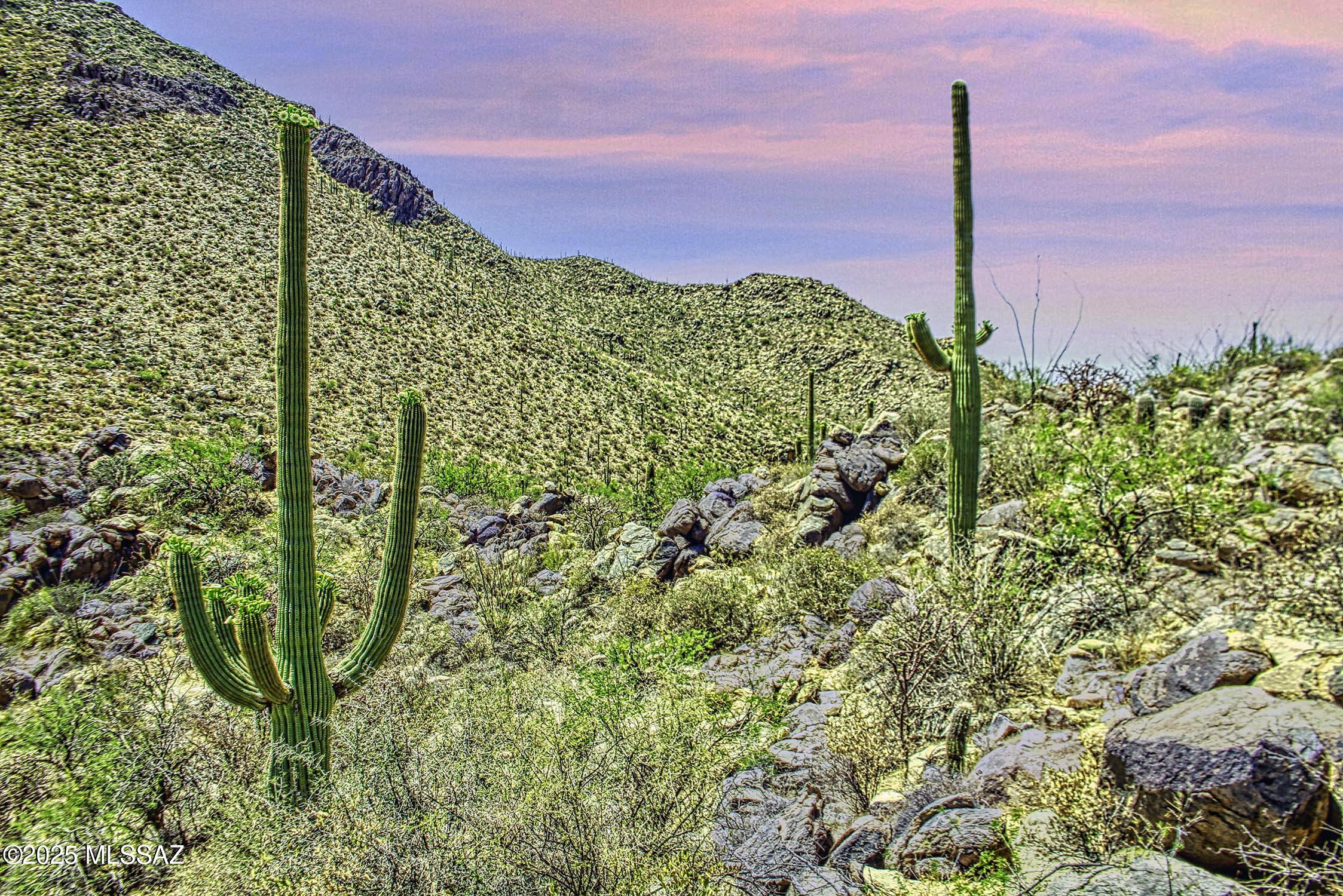 Canyon Pass III At Dove Mountain (111-181) - Land
