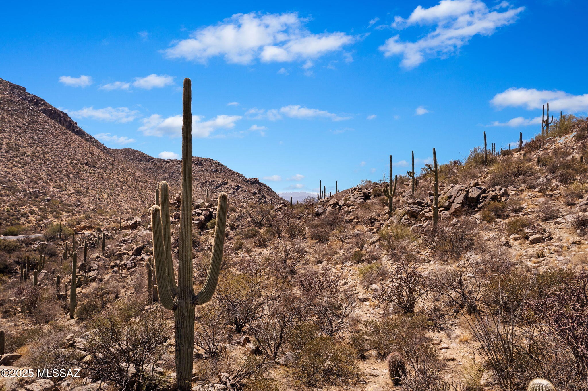 Canyon Pass III At Dove Mountain (111-181) - Land