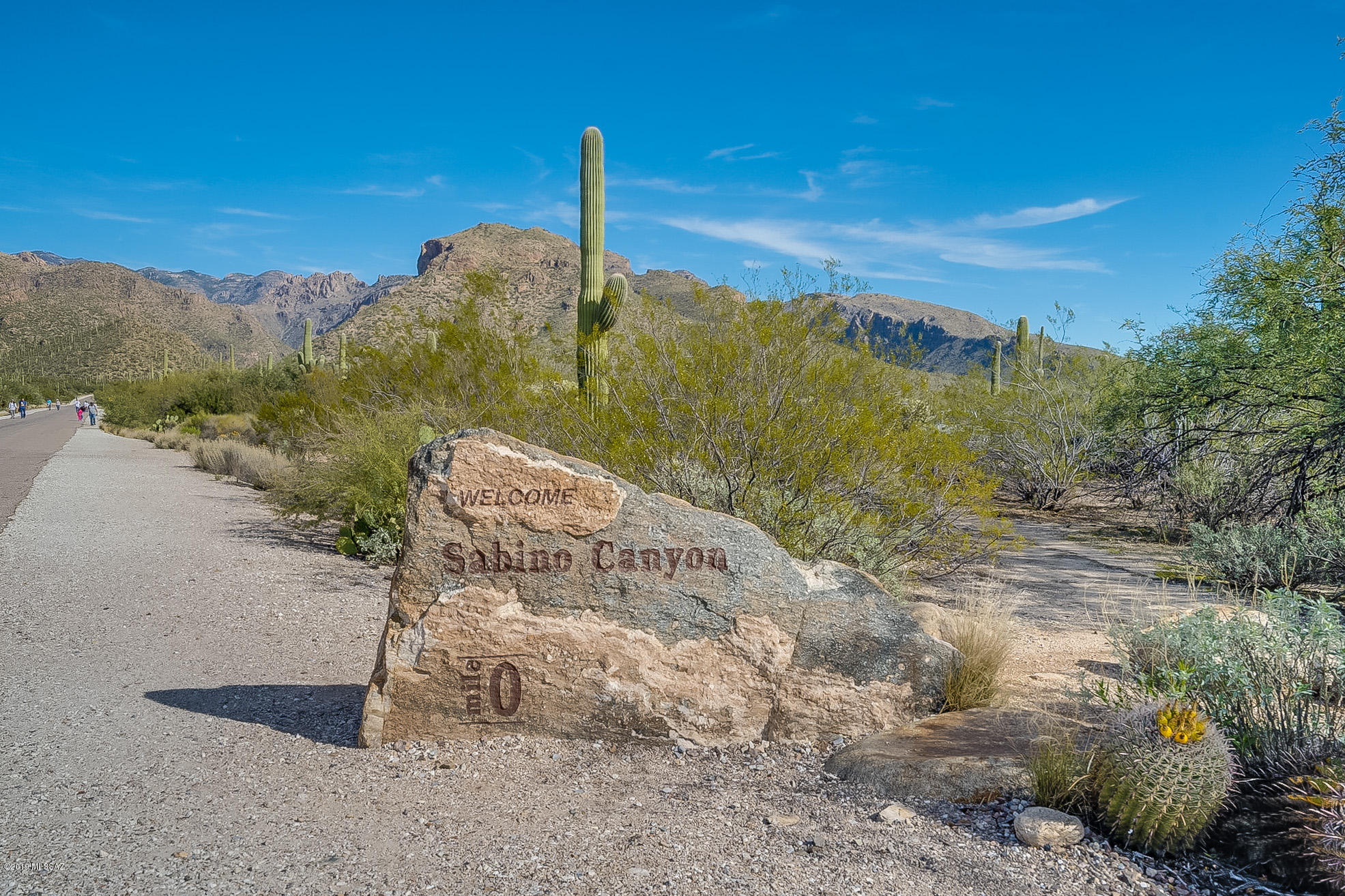 Greens at Ventana Canyon - Residential