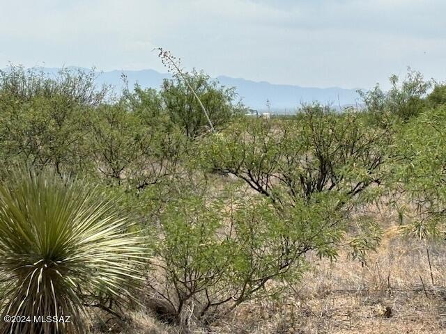 Arizona Sun Sites - Land