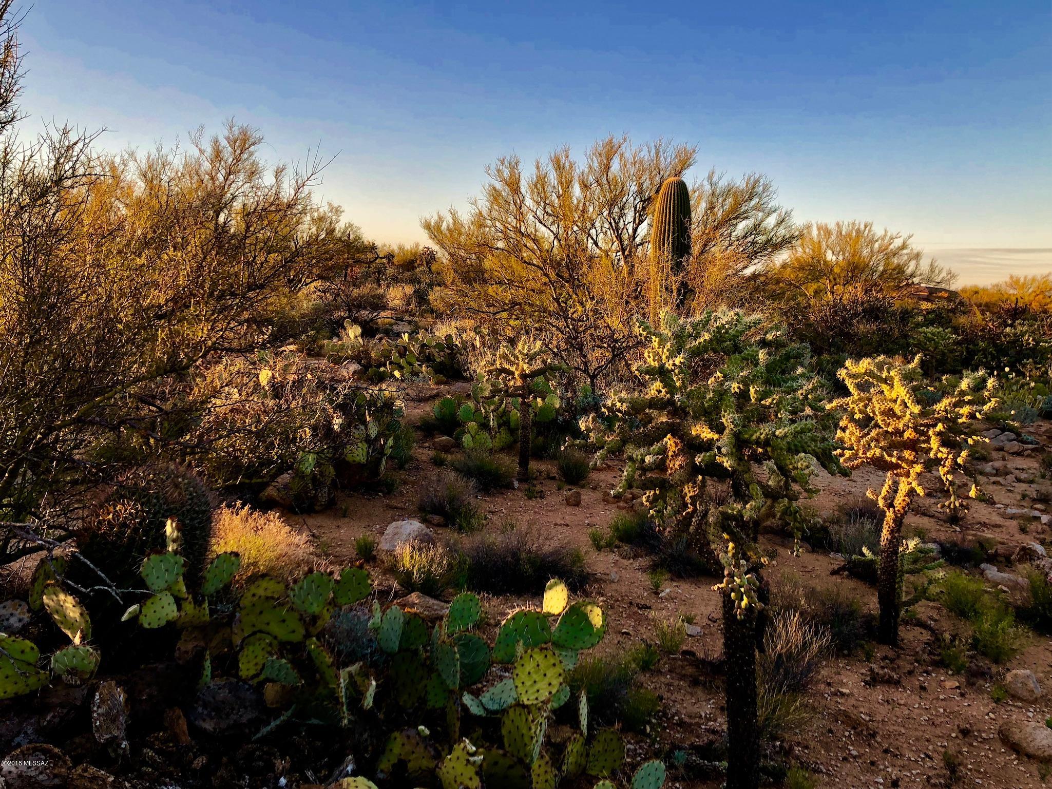 Honey Bee Ridge(The Estates At) - Land