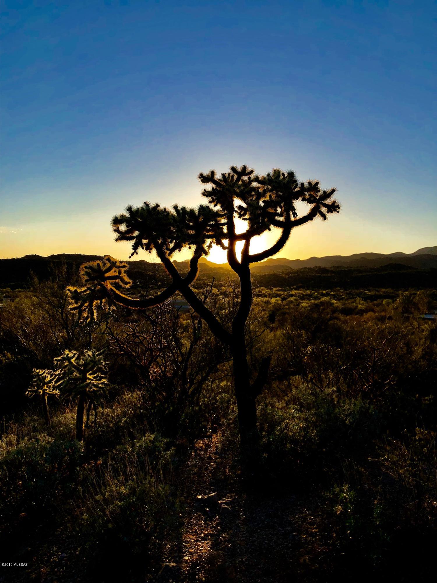 Honey Bee Ridge(The Estates At) - Land