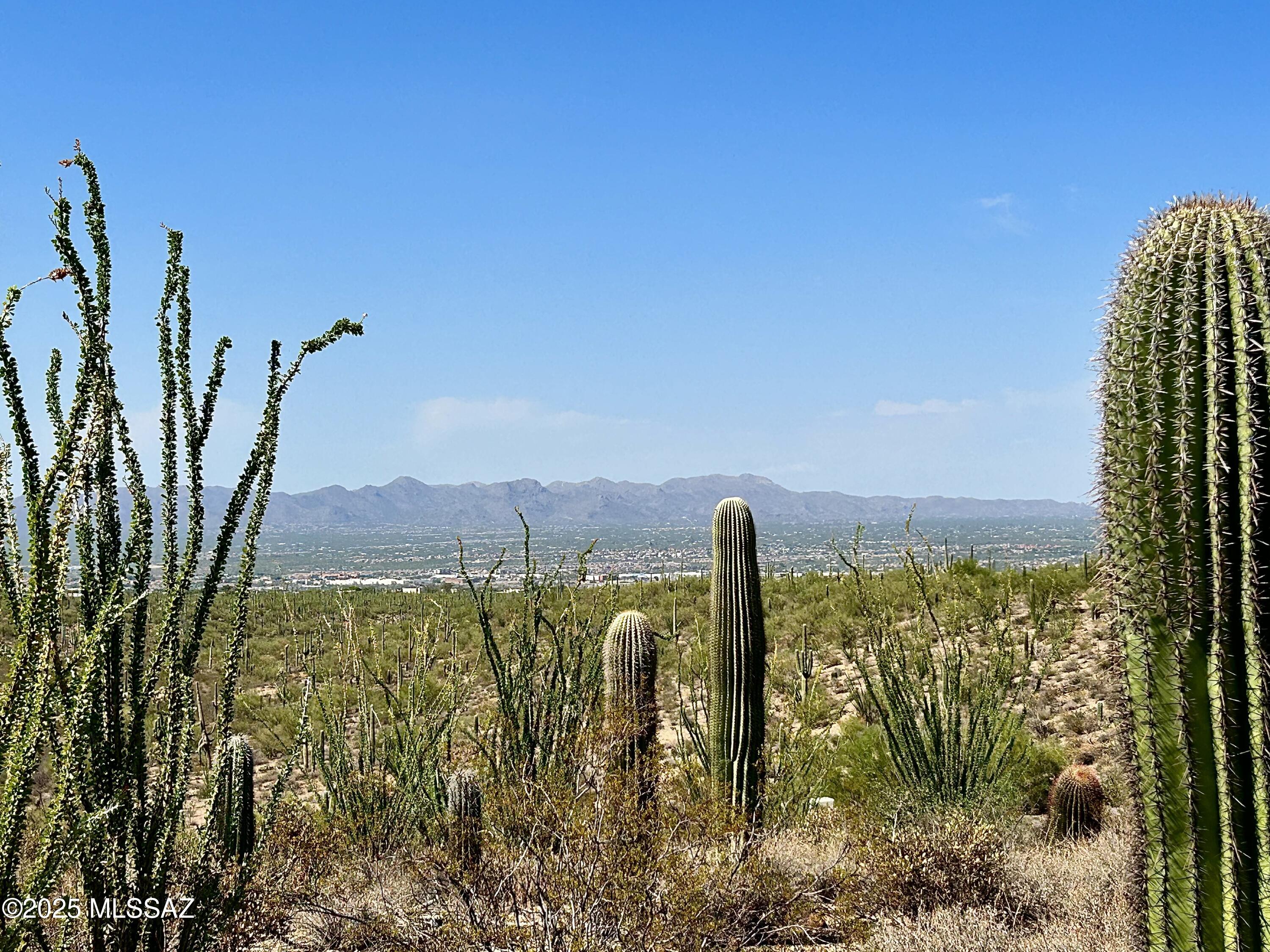 Envision your dream home on this truly spectacular 3.56 acre parcel of secluded Sonoran Desert land. This exceptional property is nestled within a quiet, custom home enclave where residences consistently command prices well over a million dollars. Prepare to be captivated by the breathtaking, panoramic views of the city lights and majestic mountains from every angle. With several easy to build sites available, you'll have ample space for both your primary residence and a charming guest house. The incredible advantage of this lot is that it backs directly to state land, offering you miles upon miles of incredible hiking and mountain biking trails right from your own backyard. Experience the peaceful, private atmosphere and immerse yourself in the lush, vibrant beauty of the desert. No HOA!
