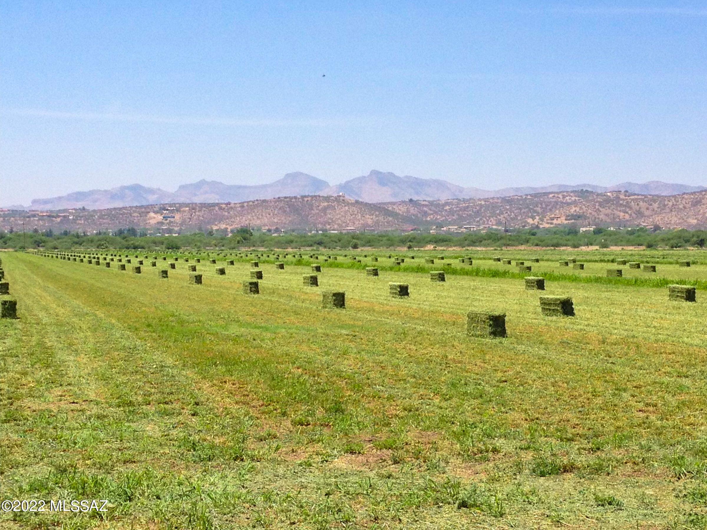 Rare farm opportunity in Southern Arizona. 70 acre premium farm in fertile and lush Santa Cruz Valley with beautiful mountain views in all directions. 62 irrigated acres, 2 Wells, one for irrigation at over 1000 GPM, and one for domestic use. Water, Water, Water! Grandfathered water rights that include approximately 160 acre-feet per year. Mixed use zoning of agricultural (GR) and commercial (B-2), allowing one to have a commercial/business component on site.  Bring your creativity to this special opportunity.