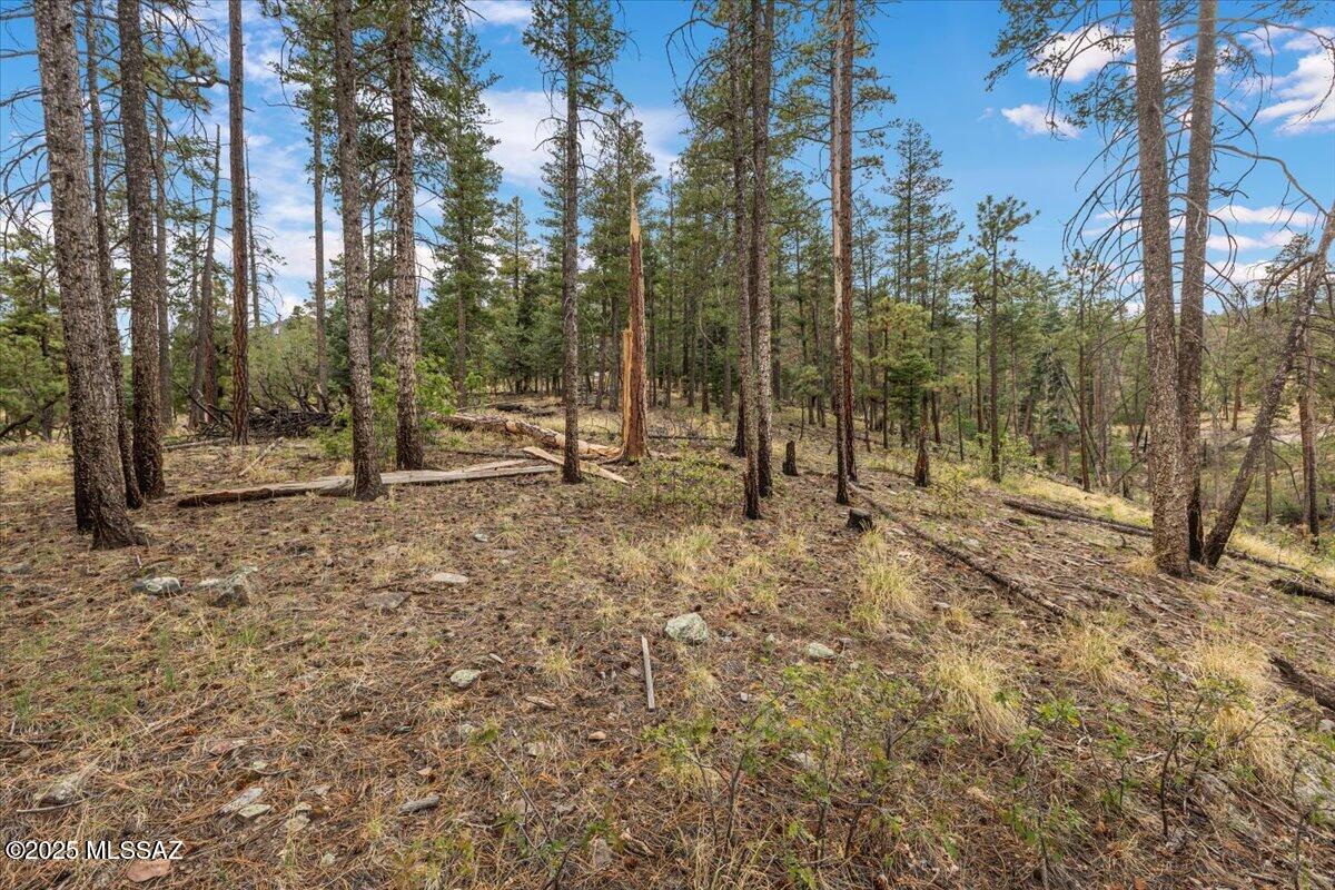 Beautiful .81-acre lot located in Copper Mountain Estates of Alpine, AZ. This parcel offers a level building site with a great view of the small canyon in the back and year-round access. Utilities available at the lot line, including power and water. Ideal location for a mountain getaway or full-
time residence, with easy access to national forest, lakes, and outdoor
recreation. Just minutes from Alpine's town center.