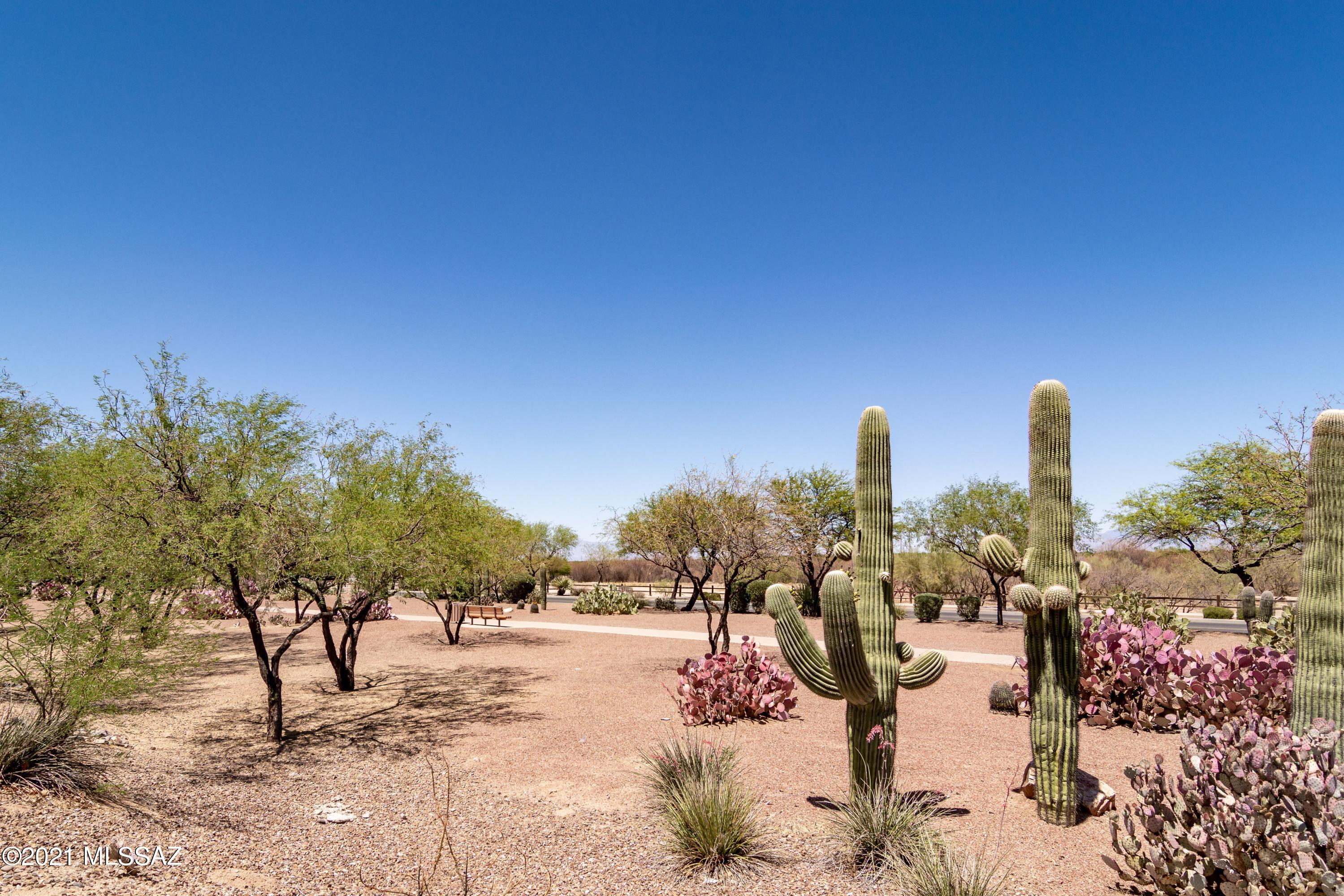 Presidio Del Rio  (1-162) - Residential