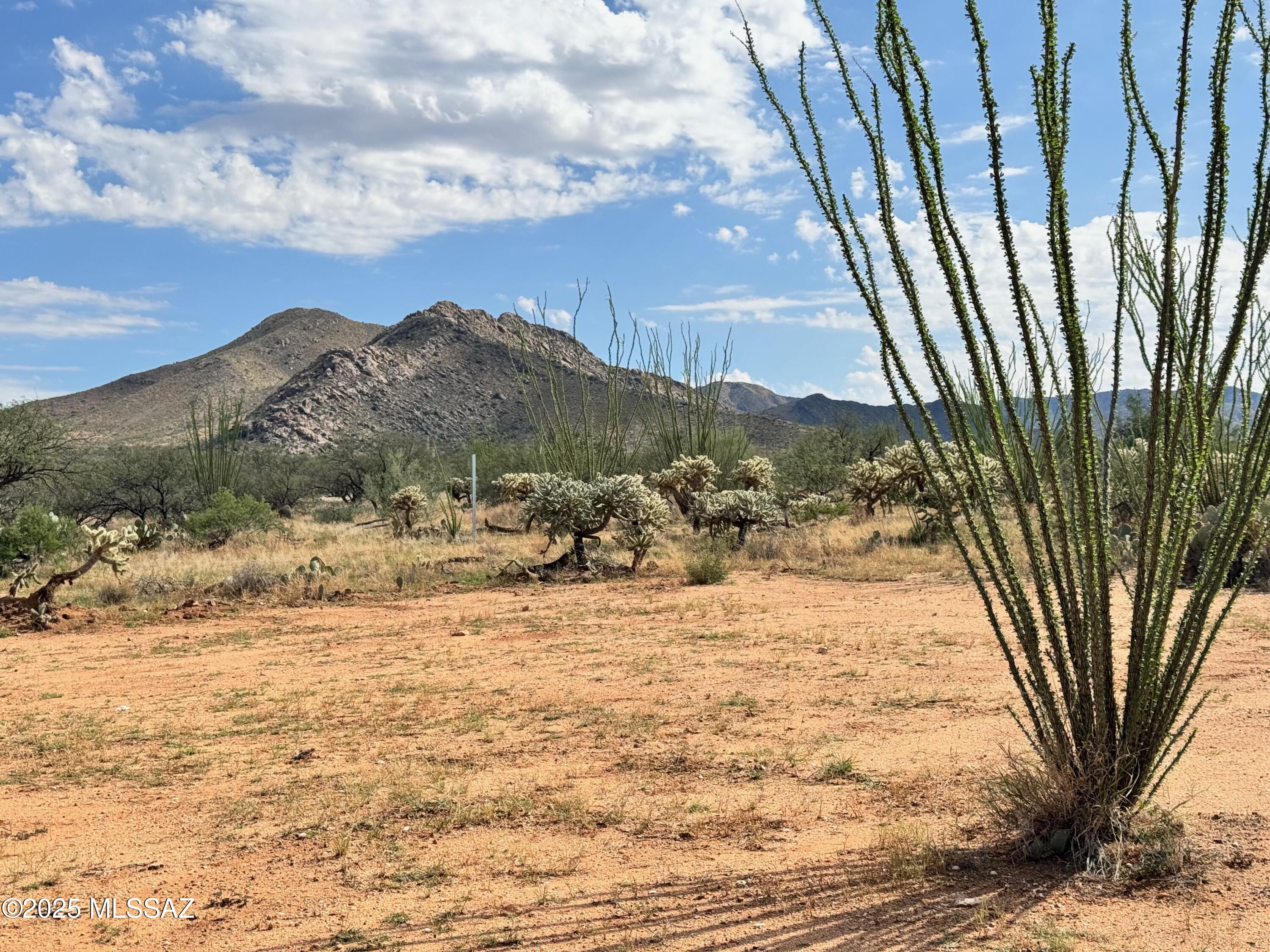 Close to State land and main road that is nicely maintained by the county in Rural Diamond Bell Ranch Subdivision. Seller has put some money into this one adding a nice ranch gate and fencing all around the property to keep the cows out. Also a driveway has been added and a nice elevated parking area has been cleared for use. Views are impeccable and privacy abounds. Wash runs along the Western boundary leaving plenty of building space on the lot as it does not affect the property usability. Utilities are not to close at this time but there have been plans made to improve this area in the future. OR you can just live off grid like the neighbors do with solar power, battery back up, propane, hauled water or drill a well. Septic will be required for building. Don't miss out! This lot rocks!
