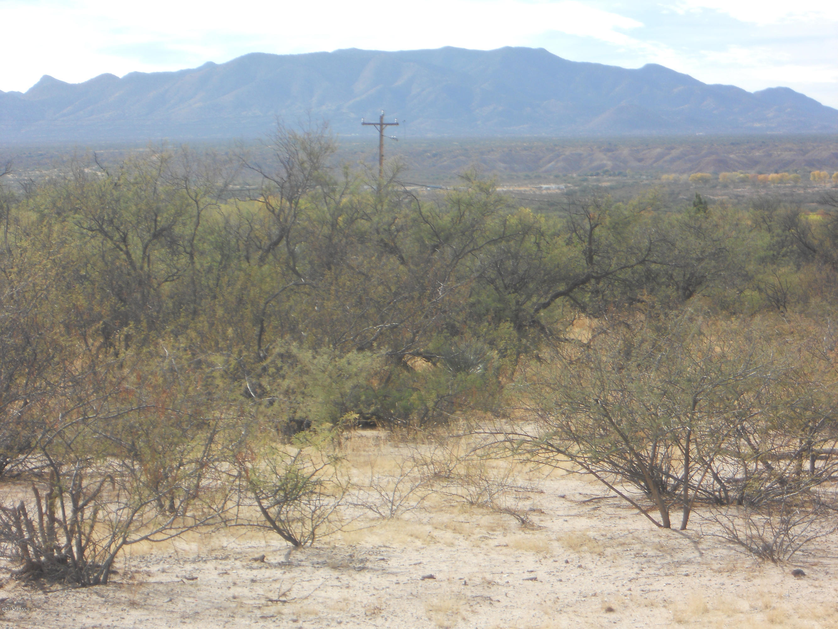 Great view parcel with shared well.  Paved road to property and utilities at lot. Bring your plans and your pets! Horses allowed. Just outside Benson City limits. SELLER MAY CARRY - OAC. LA is Mgr of Selling entity and is a licensed R.E.Broker in AZ.