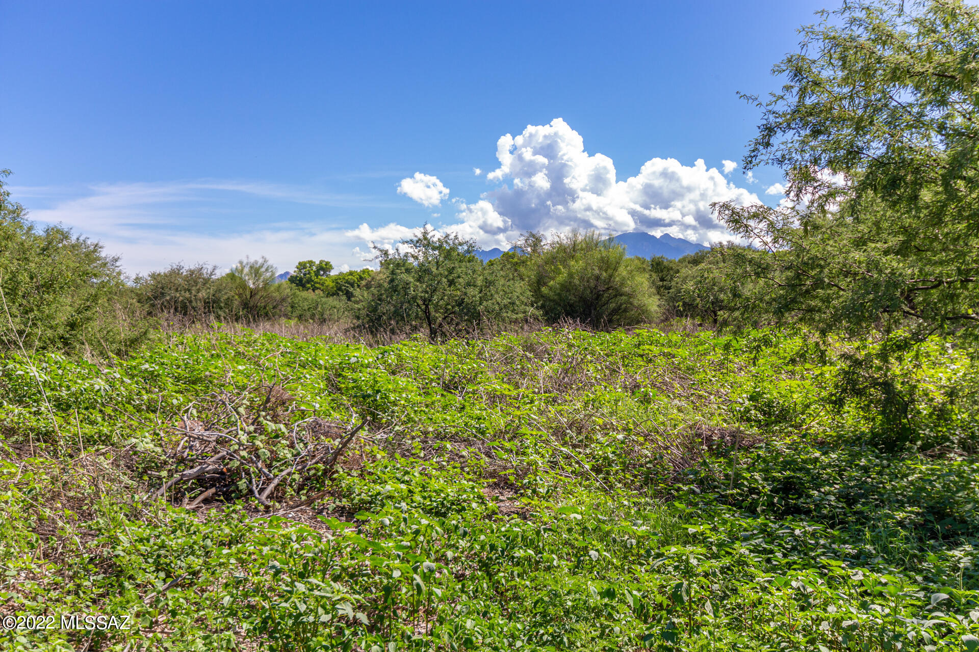 Tubac Valley Country Club Estates lot at end of non-completed road. With home sites ranging from .5 to 1+ acres, you'll find everything you're looking for in this community surrounding the Tubac Golf Resort and Spa. Fabulous, established neighborhood with mountain views and room for additional residential construction. Create the home you've been dreaming of in one of Tubac's best communities.