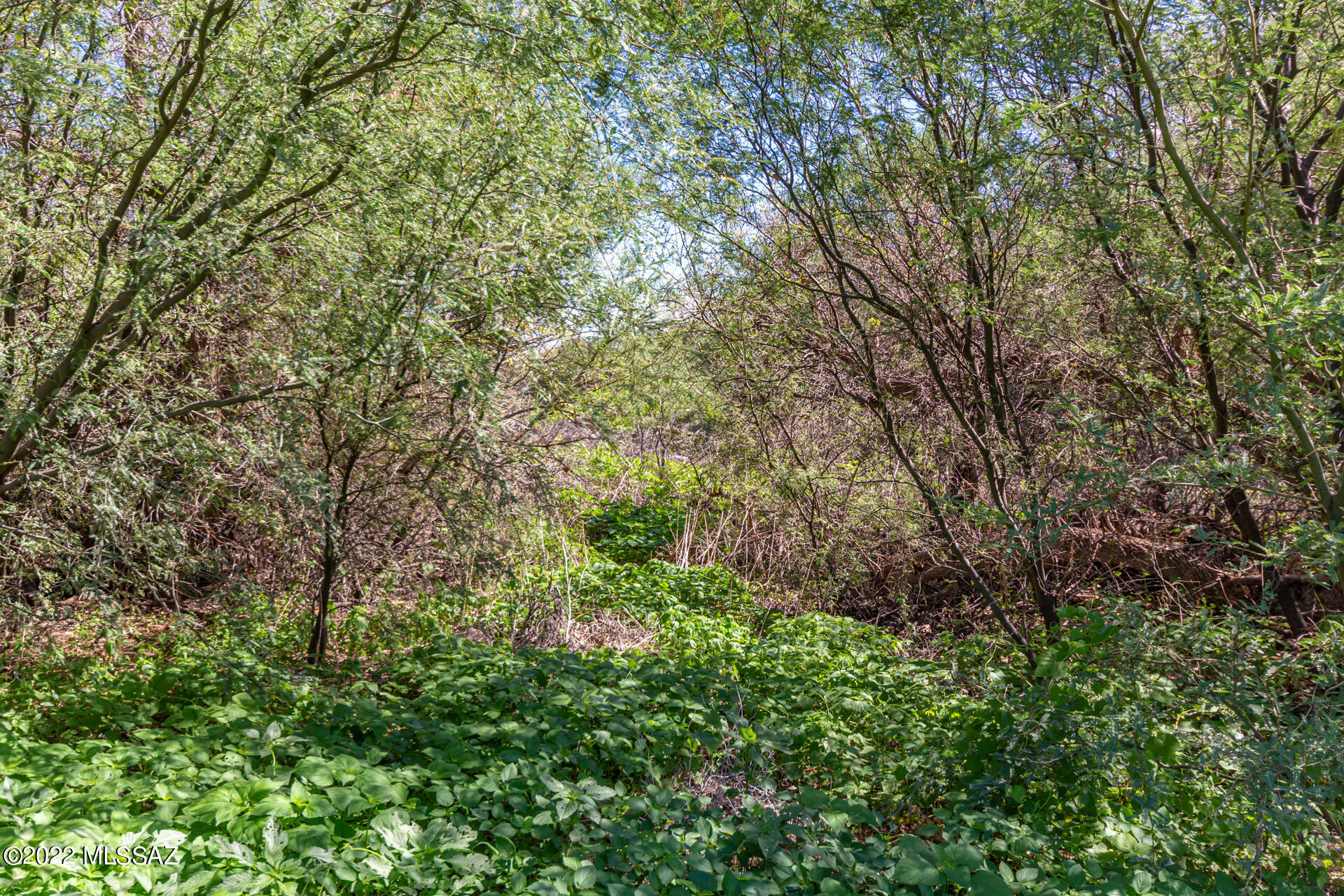Tubac Valley Country Club Estates - Land