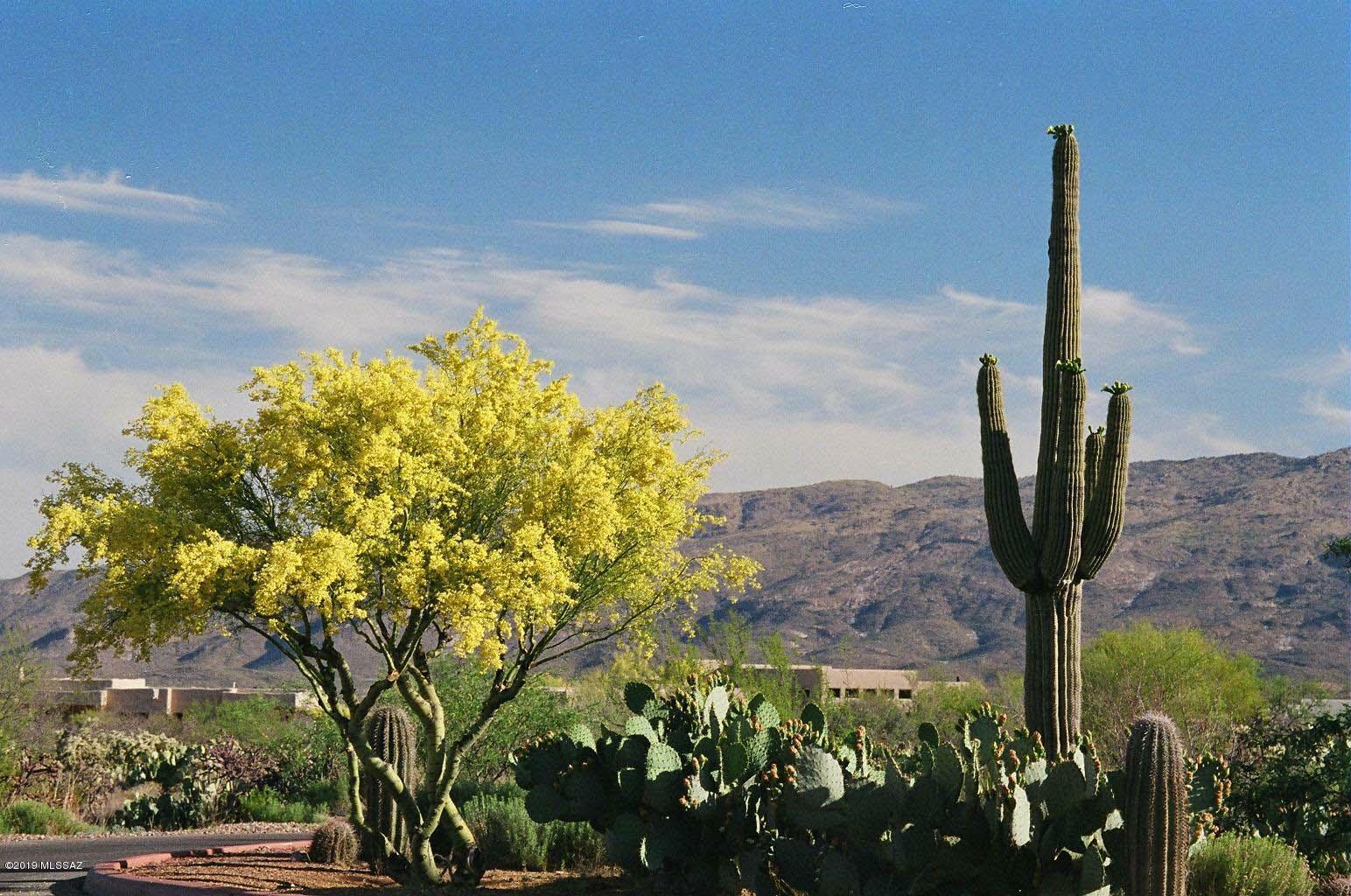 BEAUTIFUL 1.17 ACRE LOT IN THE NEW PHASE OF 50. ALL UTILITIES TO LOT LINE, GATED, CLOSE PROXIMITY TO REC CENTER, DEDICATED TRAILS FOR HIKING, BIKING AND EQUESTRIAN. 75% OF COYOTE CREEK WILL ALWAYS REMAIN AS NATURAL OPEN SPACE. CC IS SITUATED ON 1000 ACRES IN THE RINCON VALLEY FOOTHILLS 25 MINUTES TO MAJOR EMPLOYERS