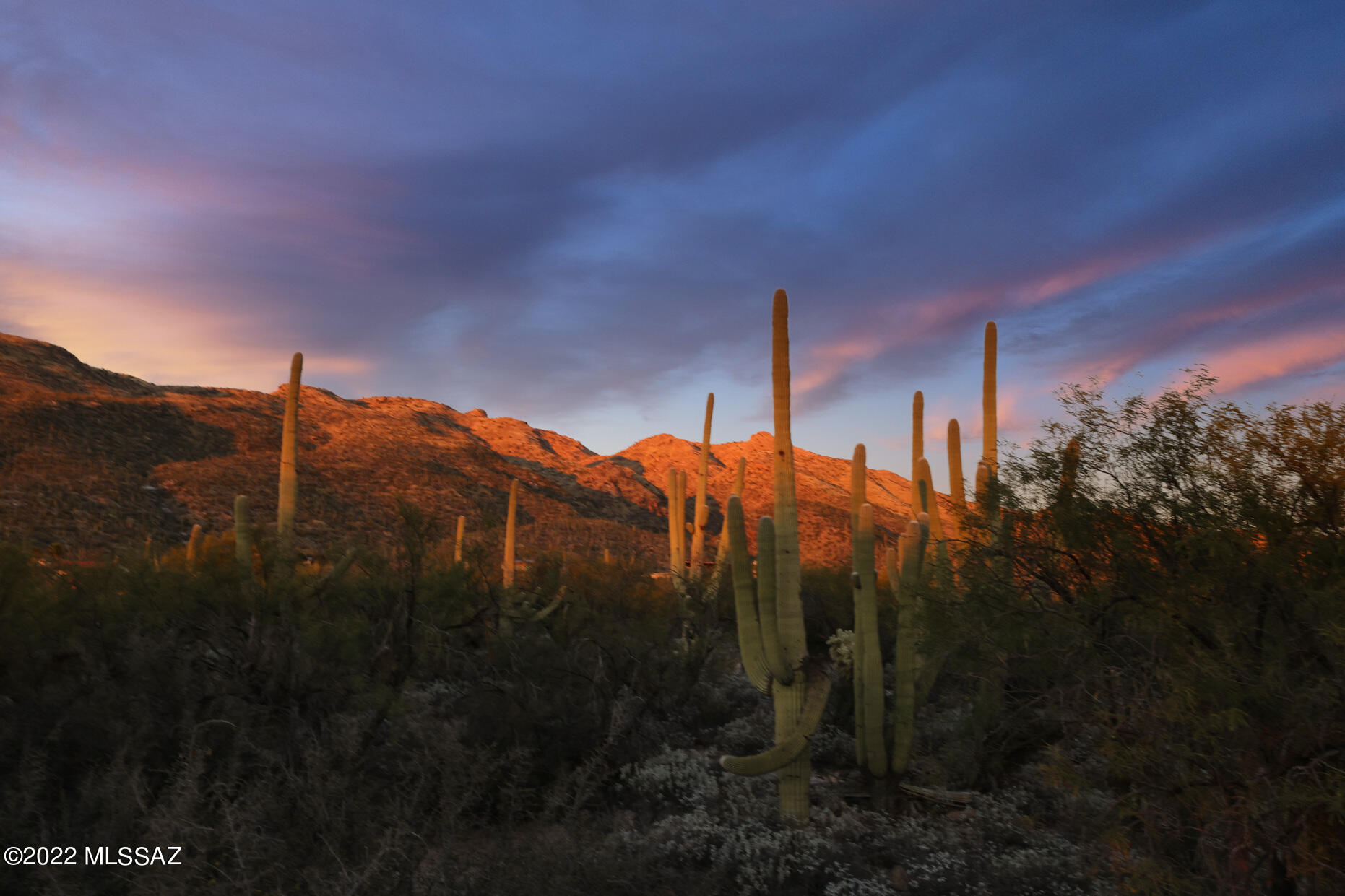 Ranchitos De Los Saguaros (1-21) - Residential