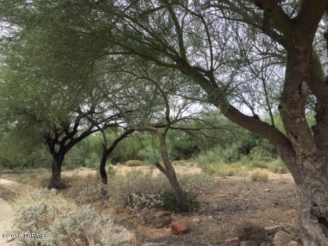 RARE FIND ON THE WEST SIDE ESTABLISHED NEIGHBORHOOD, CLOSE TO PIMA COLLEGE WEST AND FREEWAY. READY FOR YOU TO BUILD YOUR NEXT HOME. BUYER TO VERIFY ALL INFORMATION.