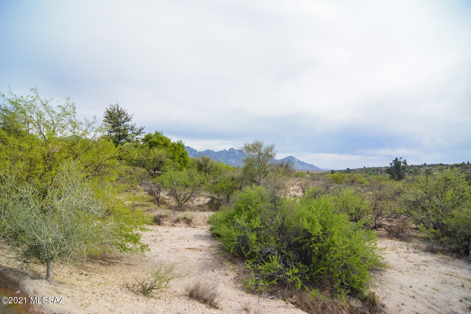Vacant lot, located in a scenic North Tucson location. Beautiful desert landscape. Lot set backs cannot affix manufactured home.