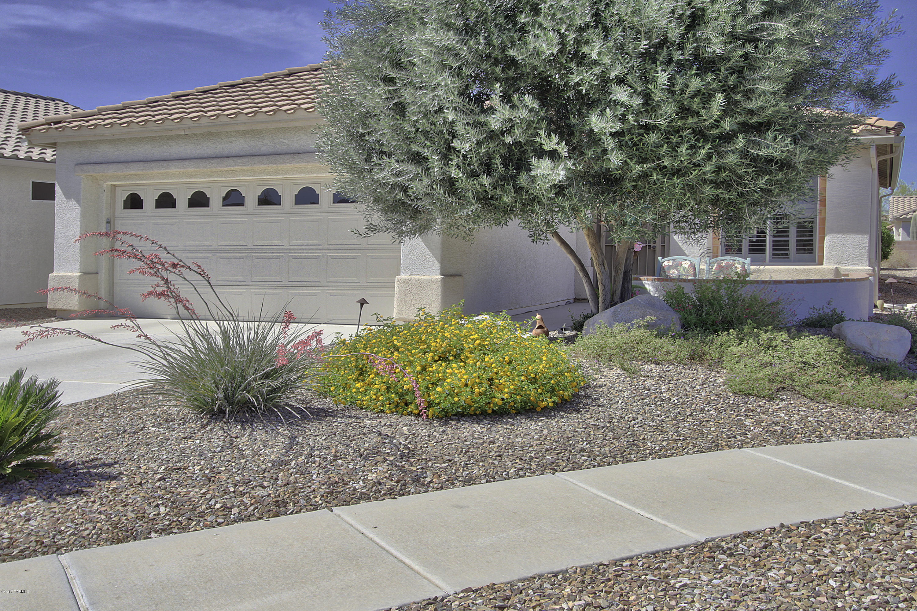 Continental Ranch Sunflower - Residential