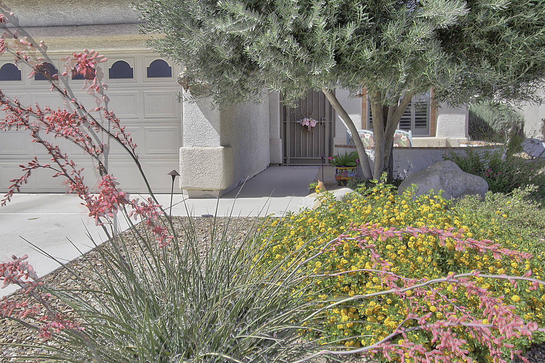 Continental Ranch Sunflower - Residential