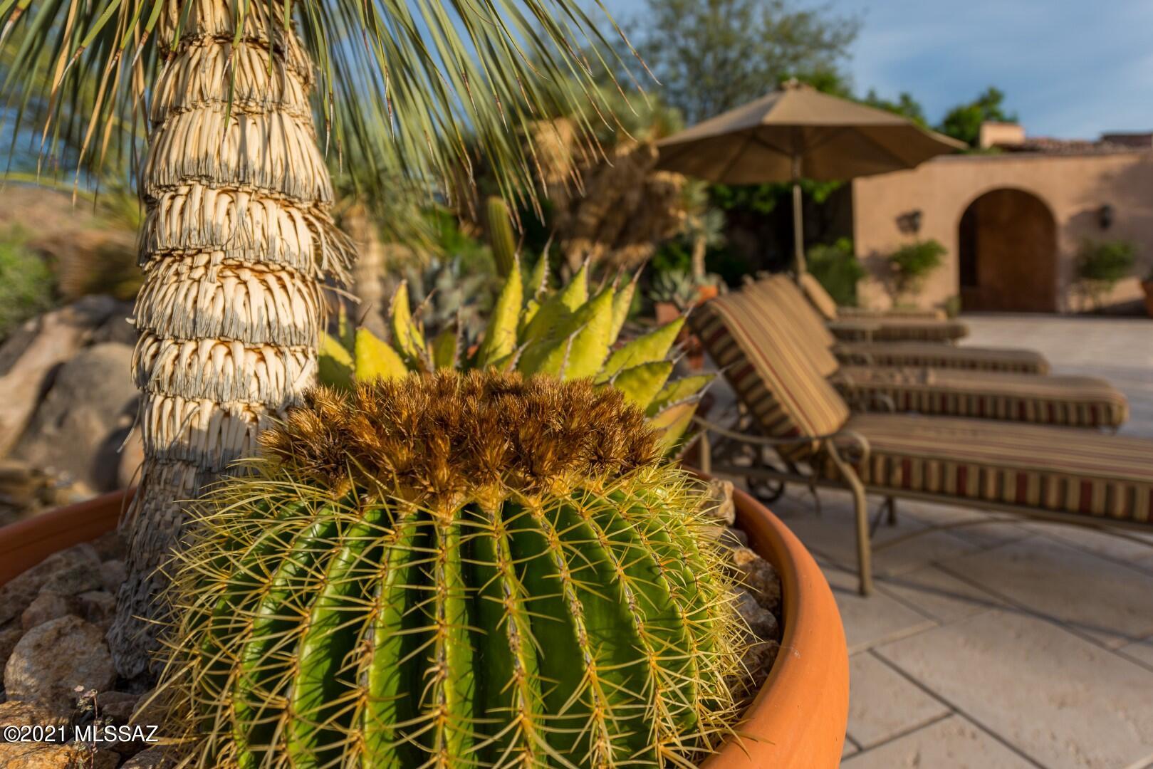 The Enclave At Stone Canyon V - Residential
