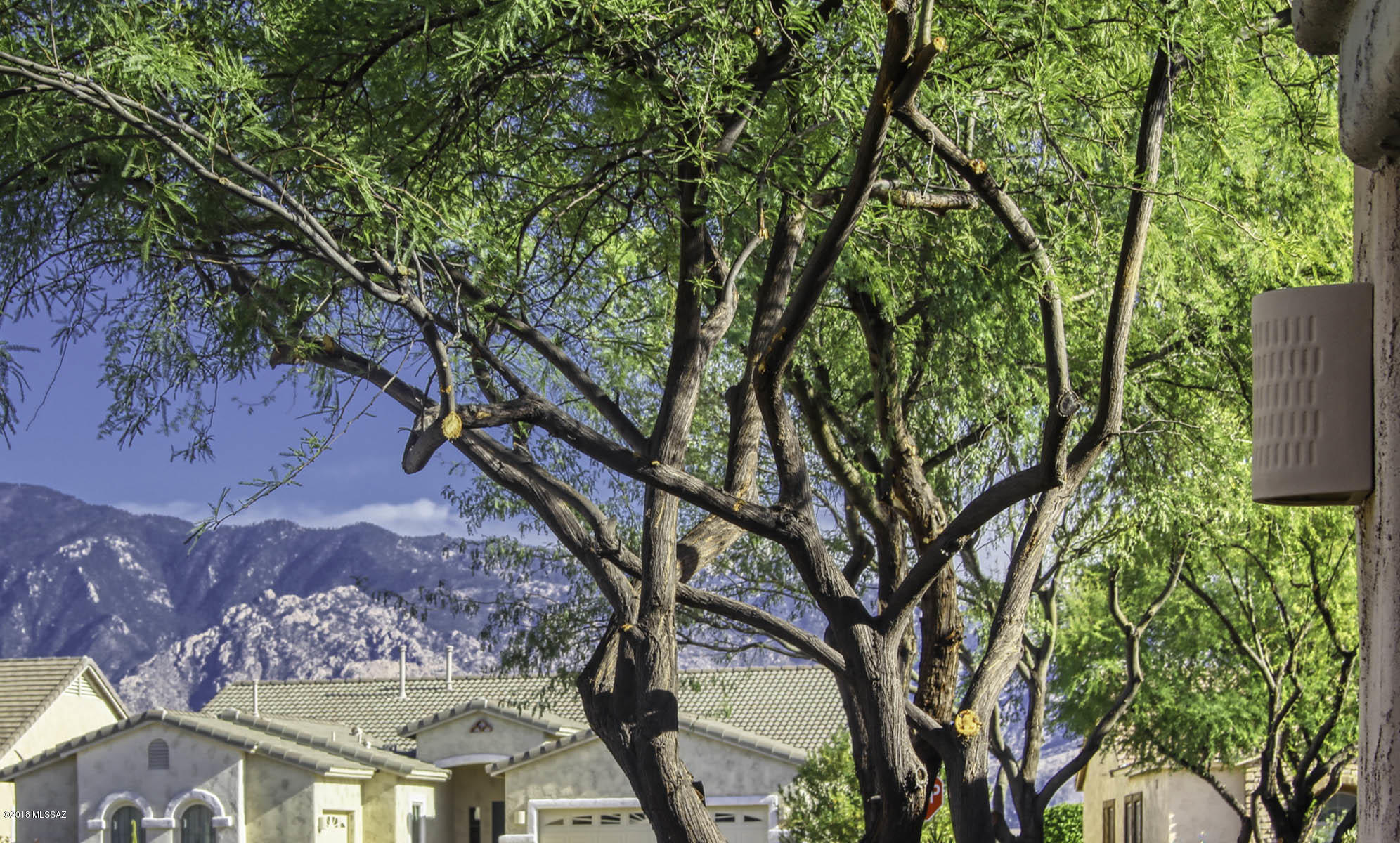 Somerset Canyon Neighborhood 10, Par. X,Y - Residential