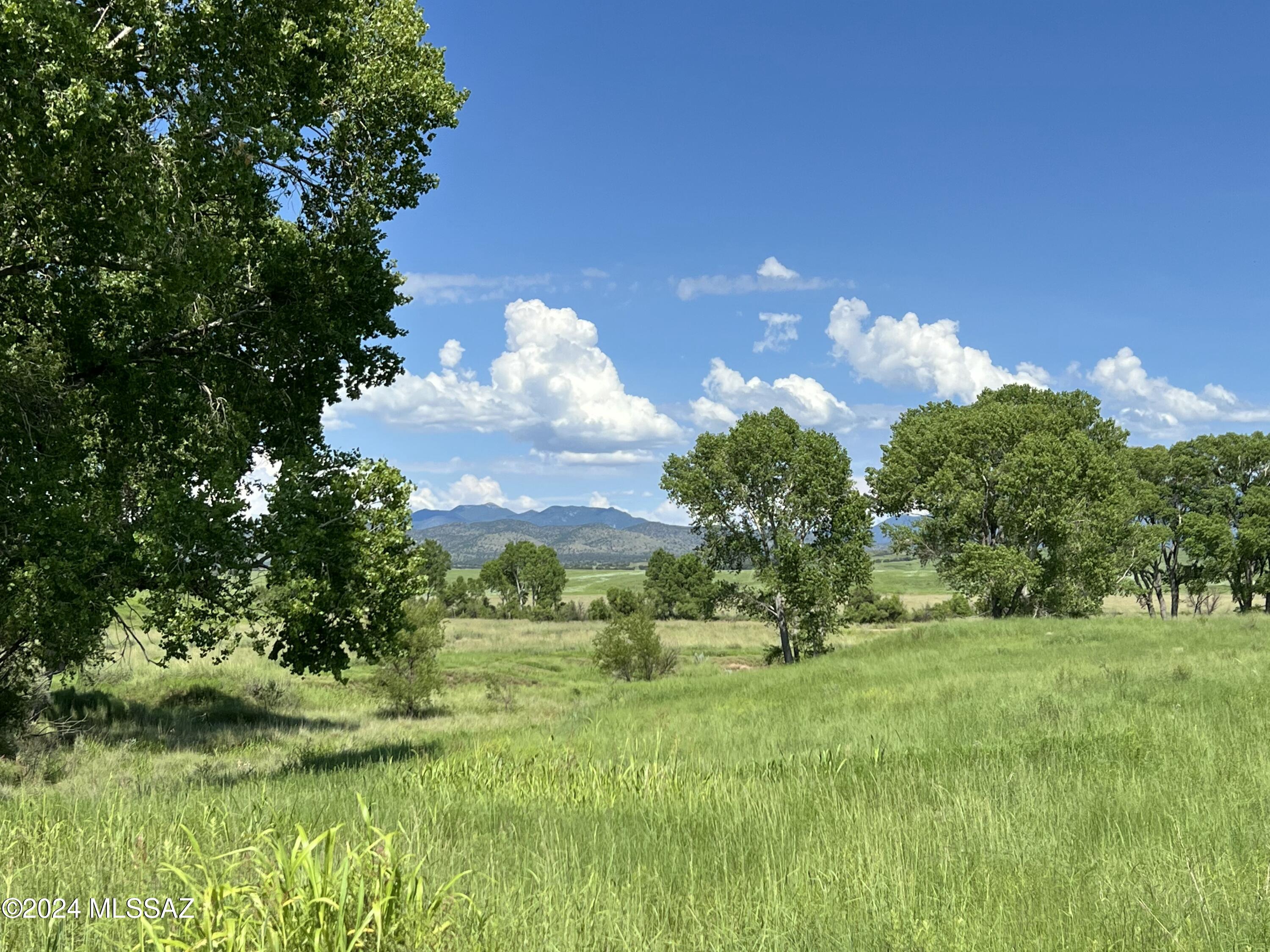 This is arguably the most beautiful ranch in Arizona in one of the most scenic, coveted ranching locations in the American West. Covering 6,066 +/- acres in the heart of the spectacular San Rafael Valley in southeast Arizona. The Lazy J2 Ranch is a working cattle ranch with a carrying capacity of 200 head year round. The ranch consist of 954 +/- deeded acres with six large pastures, several smaller pastures & a charming ranch home. It also includes the 5,112 +/- acre A-Bar Draw USFS allotment with five large pastures. The deeded & leased land are very well watered with multiple wells, tanks, water lines & fences are in very good condition. Entering this very private, heavenly valley is a truly a breath taking event every time. VERY ATTRACTIVE SELLER FINANCING AVAILABLE! The flowing grasslands surrounded by the blue & lavender mountains create a site that is easy to fall in love with.  It lies between the Patagonia Mountains west, Huachuca Mountains east and the Canelo Hills north. The San Rafael is an uncommon, sequestered hidden valley unknown to many native Arizonans, yet is the location for over 50 feature films including OKLAHOMA. It is an extraordinarily unique piece of the American West, steeped in history as the western entry point for the Europeans into what is now the United States in 1539, to the Apaches and Buffalo Soldiers in the 1800s. The San Rafael Valley has been a successful ranching landscape for generations of many families for hundreds of years. 
Perfectly situated between 4,800 and 6,000 feet elevation, the climate is mild and pleasant year round. Temperatures range from the 80s to 90s in the summers and 50s to 60s in the winter. Annual rainfall is typically 17 to 20 inches. It is the one of the last intact short grass prairies left in the western United States. The headwaters of the Santa Cruz River originate in this valley and is adjacent to the ranch. The San Rafael and these estate parcels are blessed with a collection of gorgeous, sweeping rolling hills with a myriad of native grasses, scattered Oak trees and towering Cottonwoods in the meandering creek beds that run seasonally.

Eighty percent of the San Rafael Valley, including the Lazy J2 Ranch Estates, have been placed under Conservation Easements by private property owners to protect the unparalleled beauty and pristine environment. The building envelopes have been discretely placed out-of-site to preserve the sweeping landscape vistas and magnificent view shed. J2 South has a building site of 17.8 acres and J2 North has a building envelope of 20 acres. Underground power and telephone run through the valley and are available to both sites. The Conservation Easements are held by the Arizona Land and Water Trust.

This is an amazingly rare opportunity and maybe a once in a lifetime chance to own a part of this very special valley. Normally the ranches here are passed along by families from one generation to the next. Come and visit and see for yourself the remarkable property that is the Lazy J2 Ranch Estates. Parcels start at $3,225,000 with excellent competitive seller financing possible for both remaining parcels.