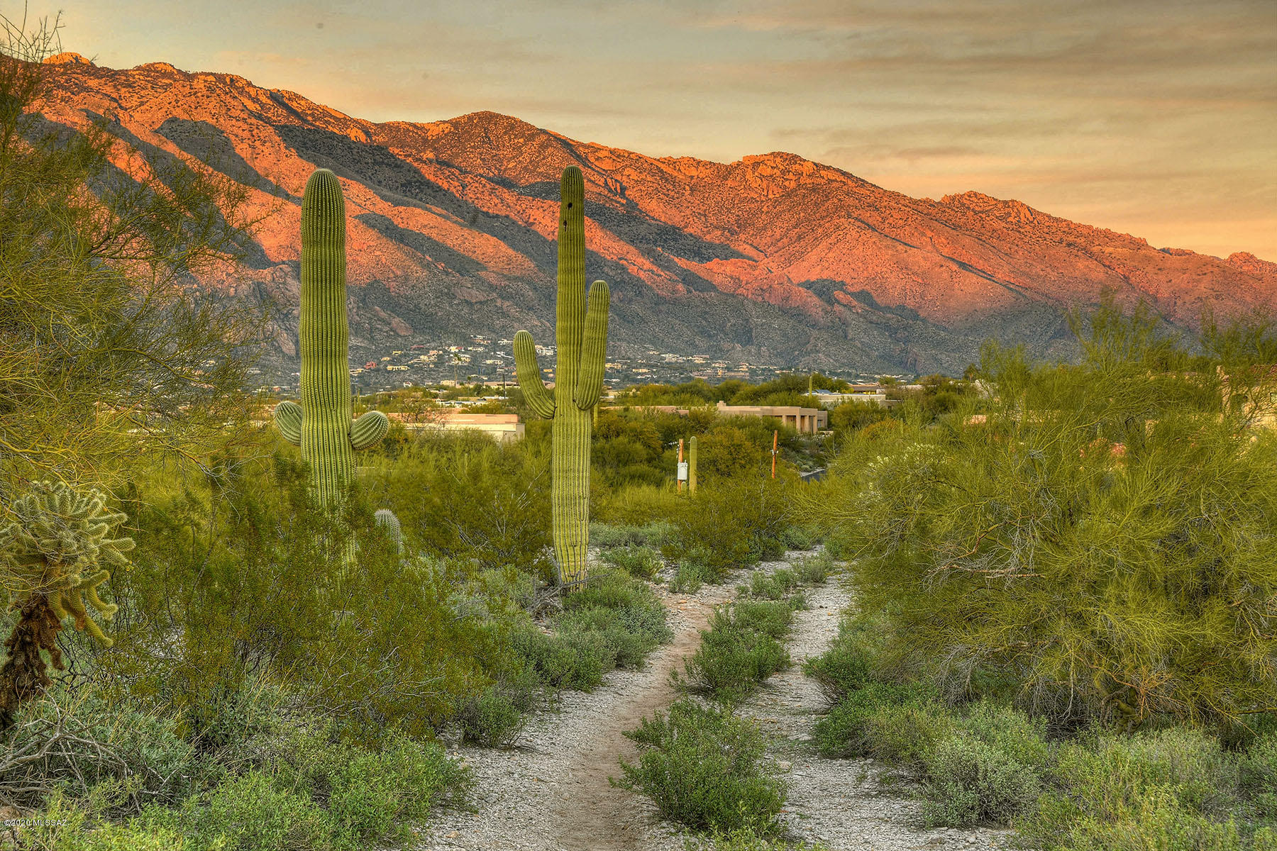 A BUILDER'S 20-acres DREAM!  This LAST large property in the Catalina Foothills is prime for development or ready for a one-of-a-kind,  sprawling family estate.  CR1 zoning allows up to possibly 20 custom homes on this high, rolling ridge that captures UNOBSTRUCTED 360-degree views!  Bulk sale only of Lots 277 & 278 CFE #2.  Nestled hidden in the TRADITIONAL, CLASSIC foothills with end of cul-de-sac setting for the ultimate in privacy and living in one with Mother Nature's best flora and fauna.