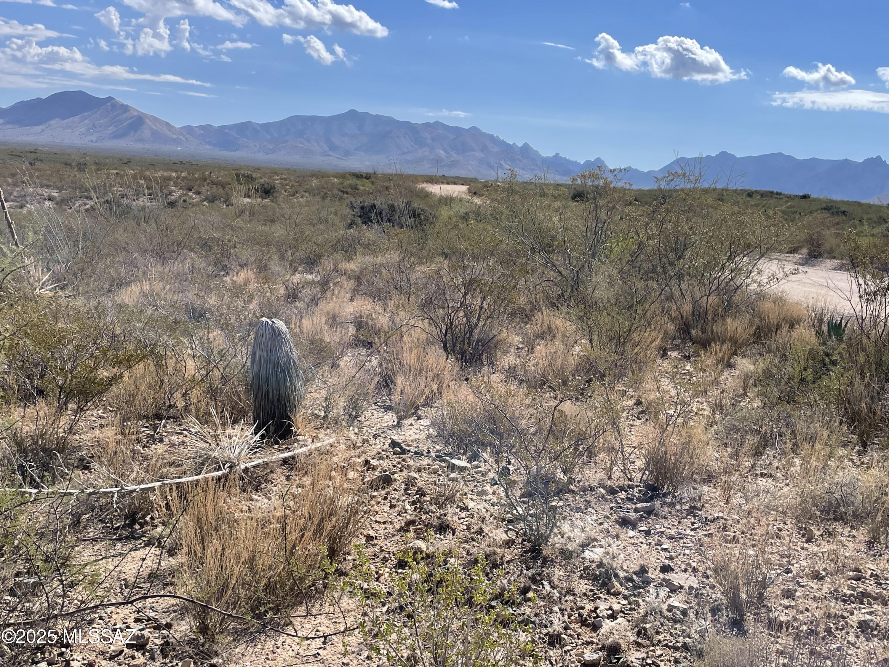 Dragoon Mountain Ranch - Land
