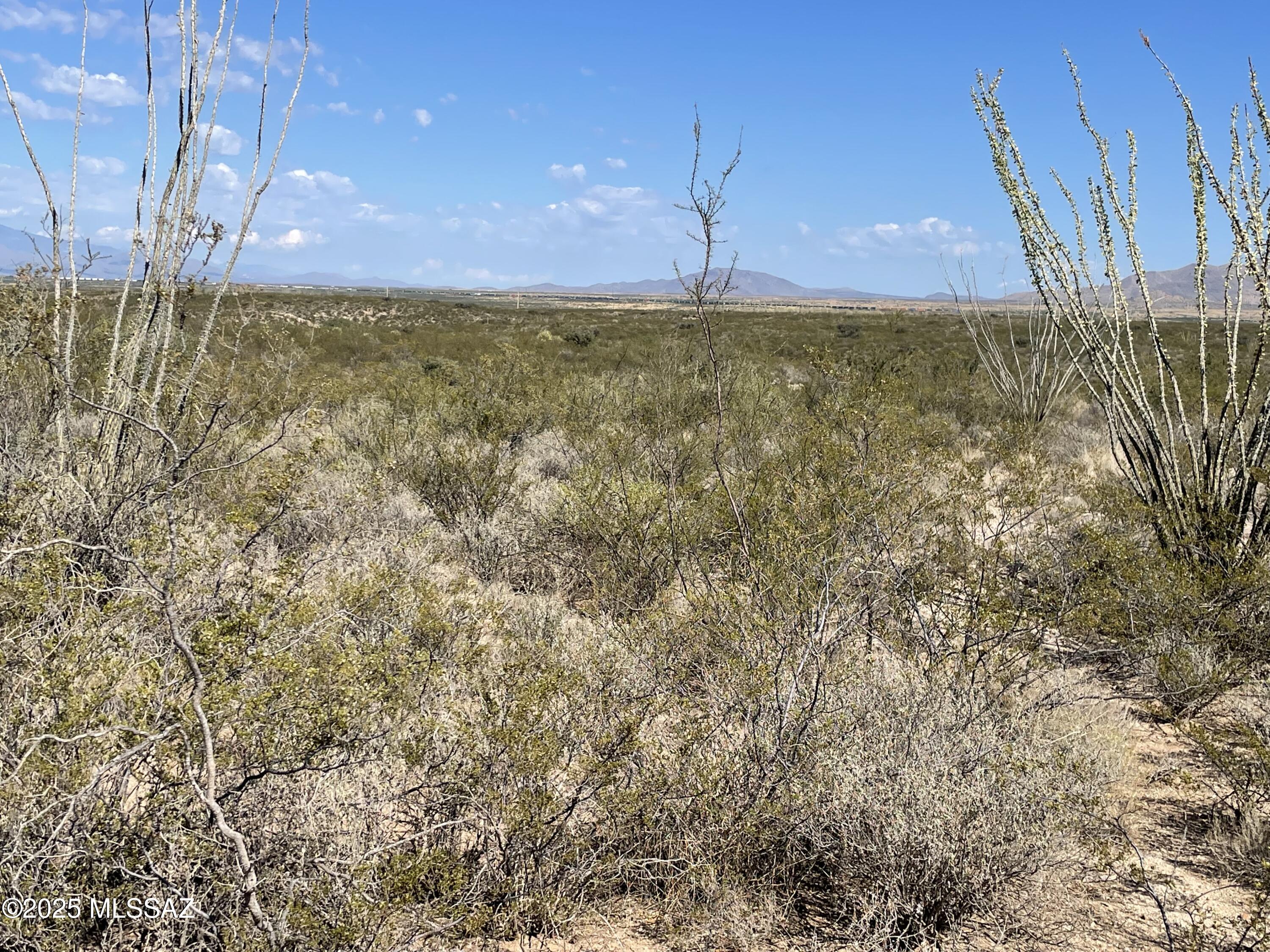 Dragoon Mountain Ranch - Land