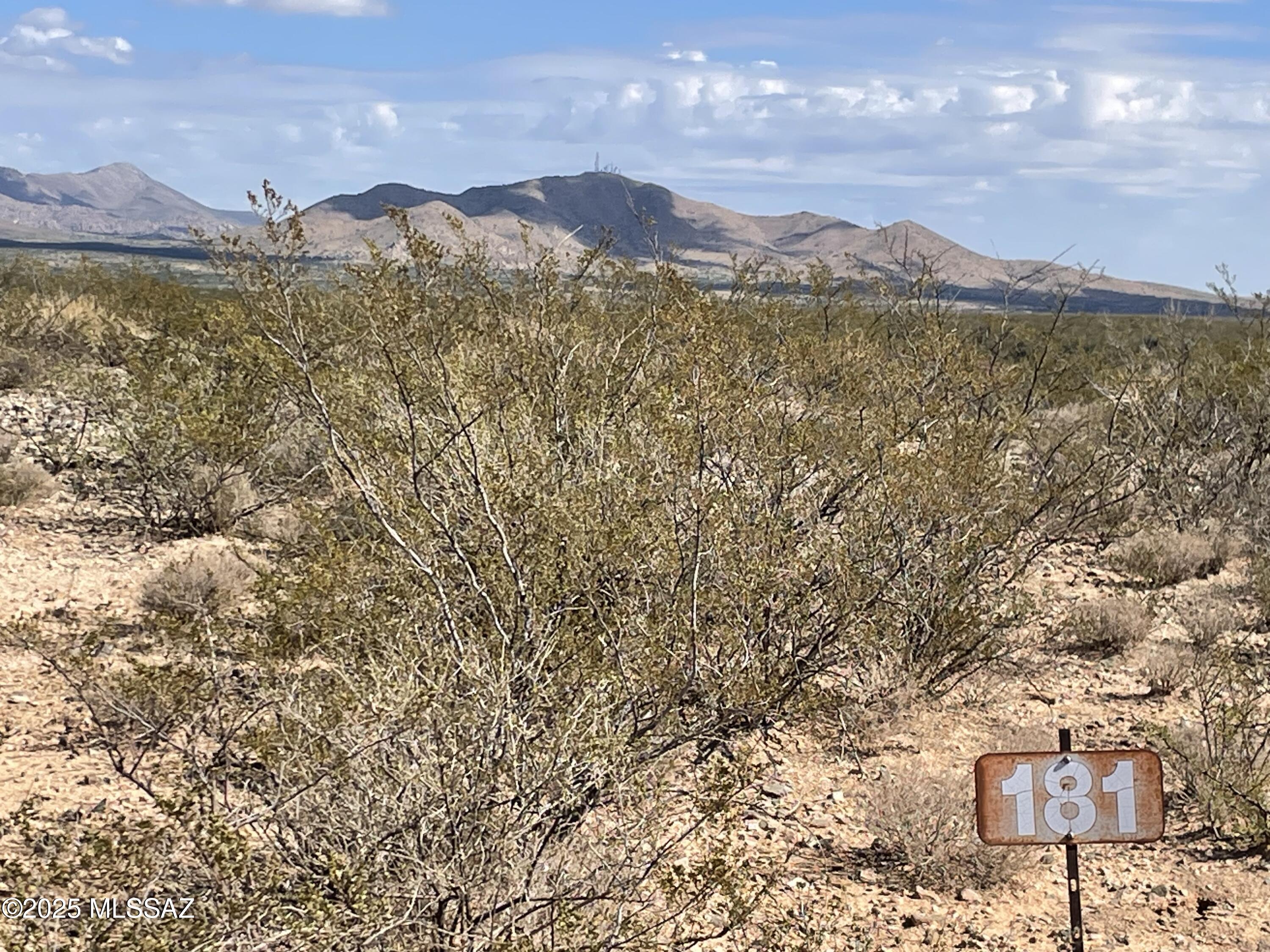 Dragoon Mountain Ranch - Land