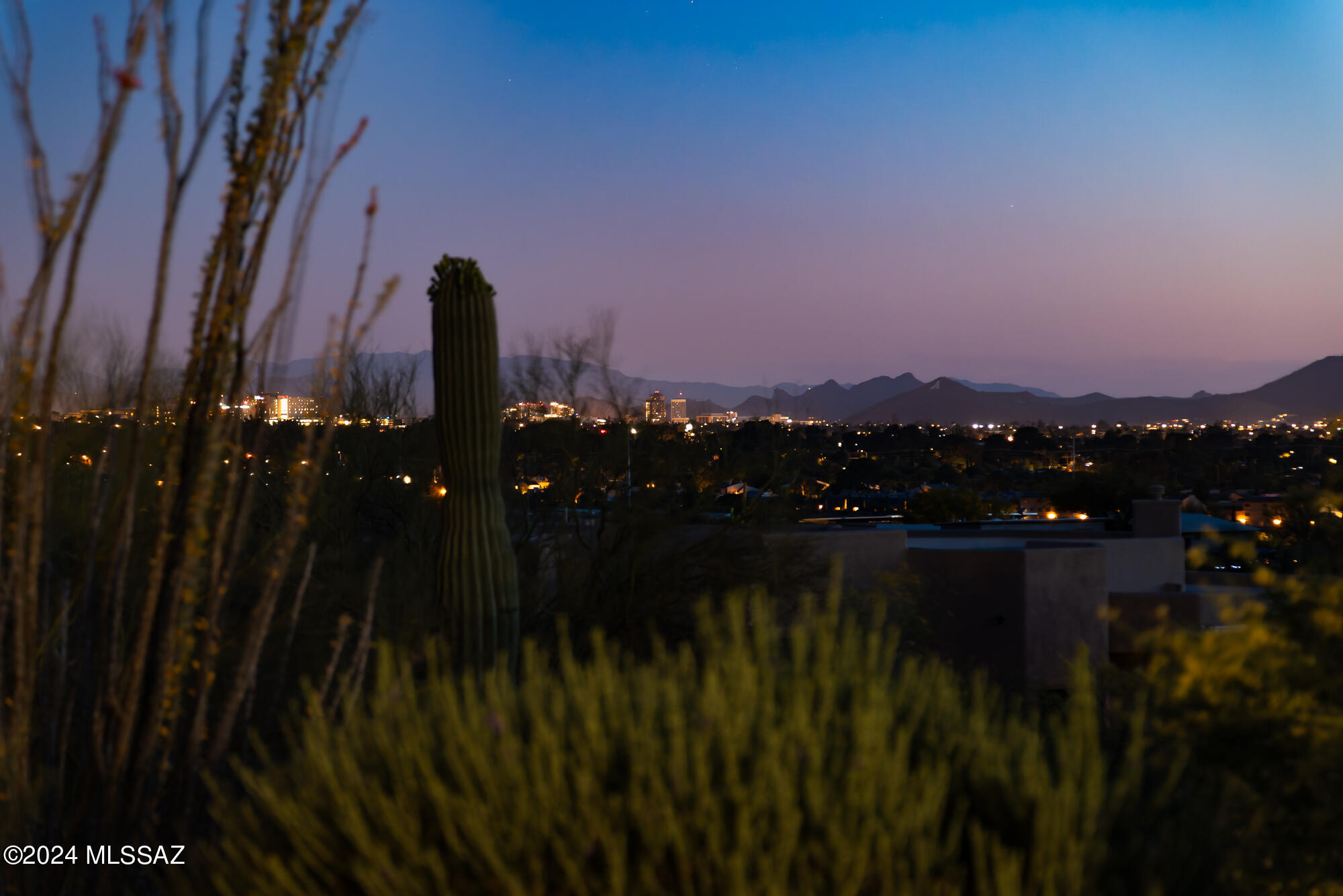 Bellas Catalinas Estates (1-93) - Residential