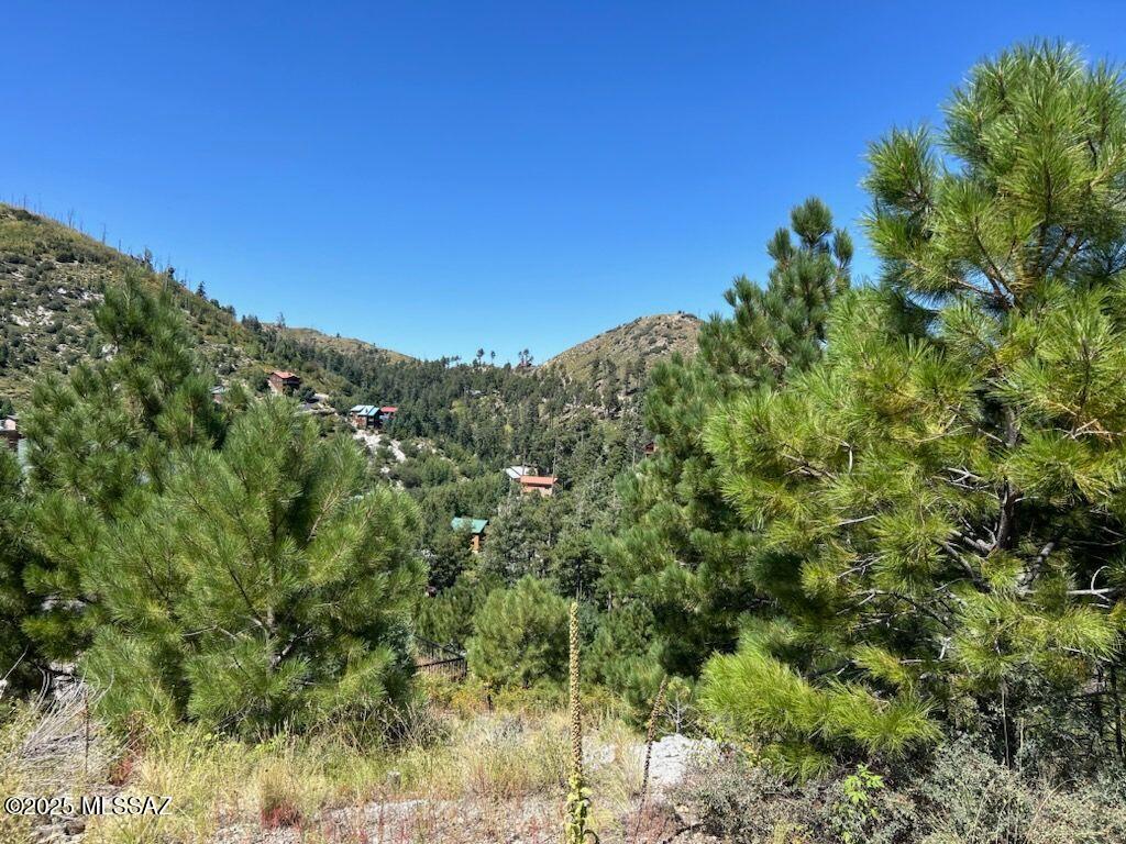 Gorgeous lot- and very buildable! Brand new septic. Excellent location, close to town and trails. Lot provides lots of shade and amazing views. Private, dead-end road. Utilities to lot line! Licensed survey available.