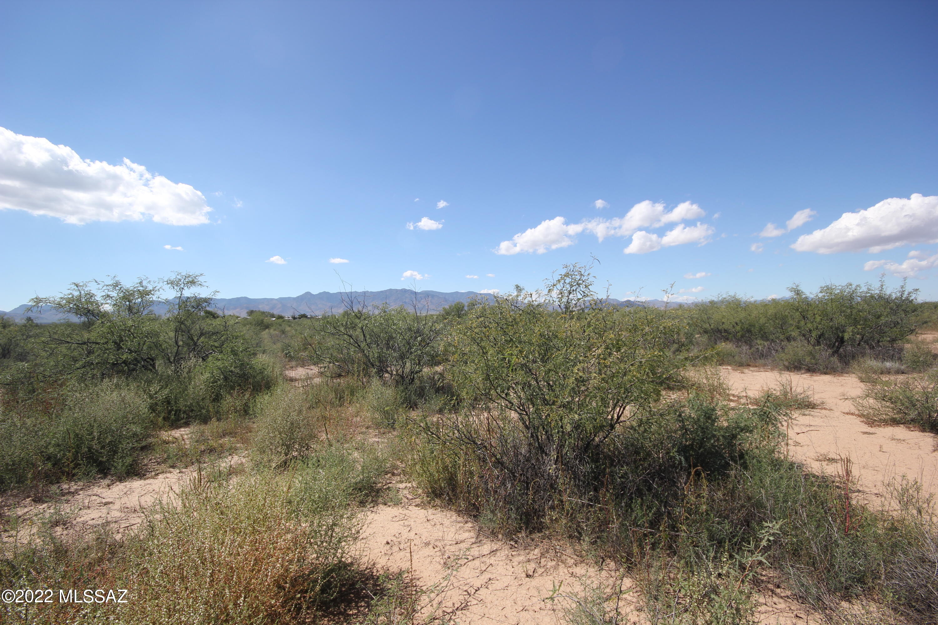 Wild Horse Ranch Estates (1-66) - Land