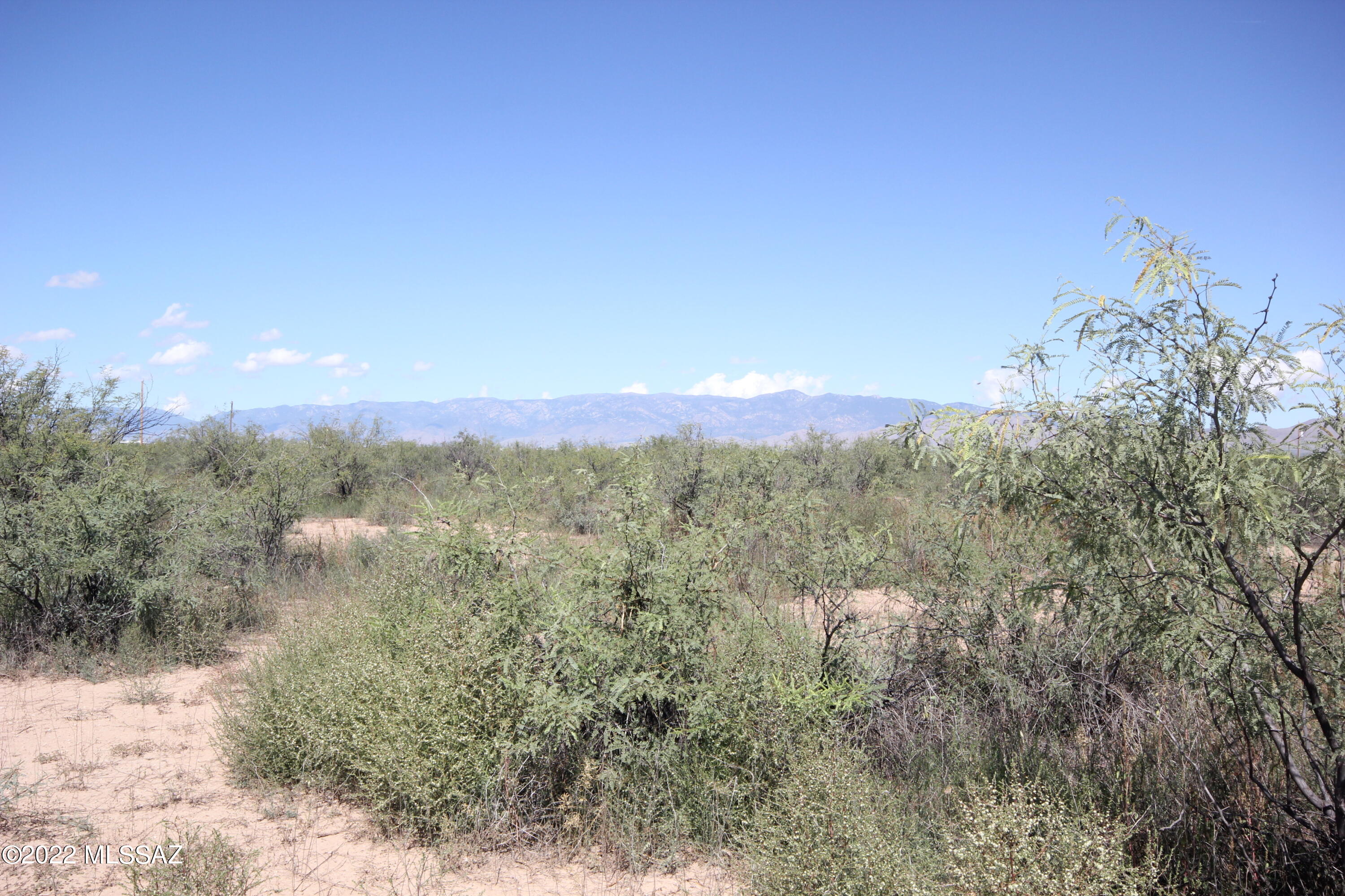 Wild Horse Ranch Estates (1-66) - Land