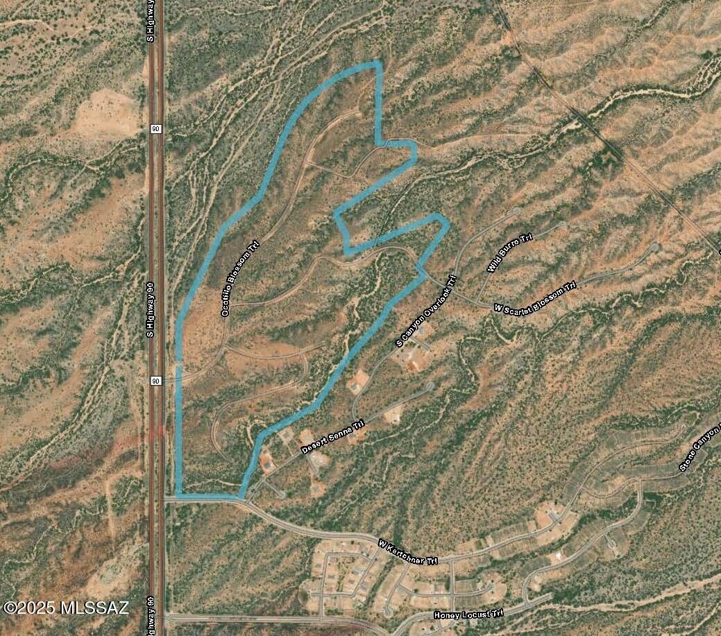 The incredible buy includes 85 platted lots, 2 partially developed lots, common areas and private streets. It includes 162+/- acres of land zoned in Benson as B-2. B-2 zoning which includes all uses permitted in R-1, R-2, and R-3 and all B-1 zoned areas. In addition, it will allow for heavier commercial uses such as service stations, funeral homes, repair shops, hotels, drug stores and many others. The 2 partially developed lots are zoned R-3. Property is adjacent to the master planned community of Village at Vigneto and once development begins the area will grow quickly, don't miss this chance.