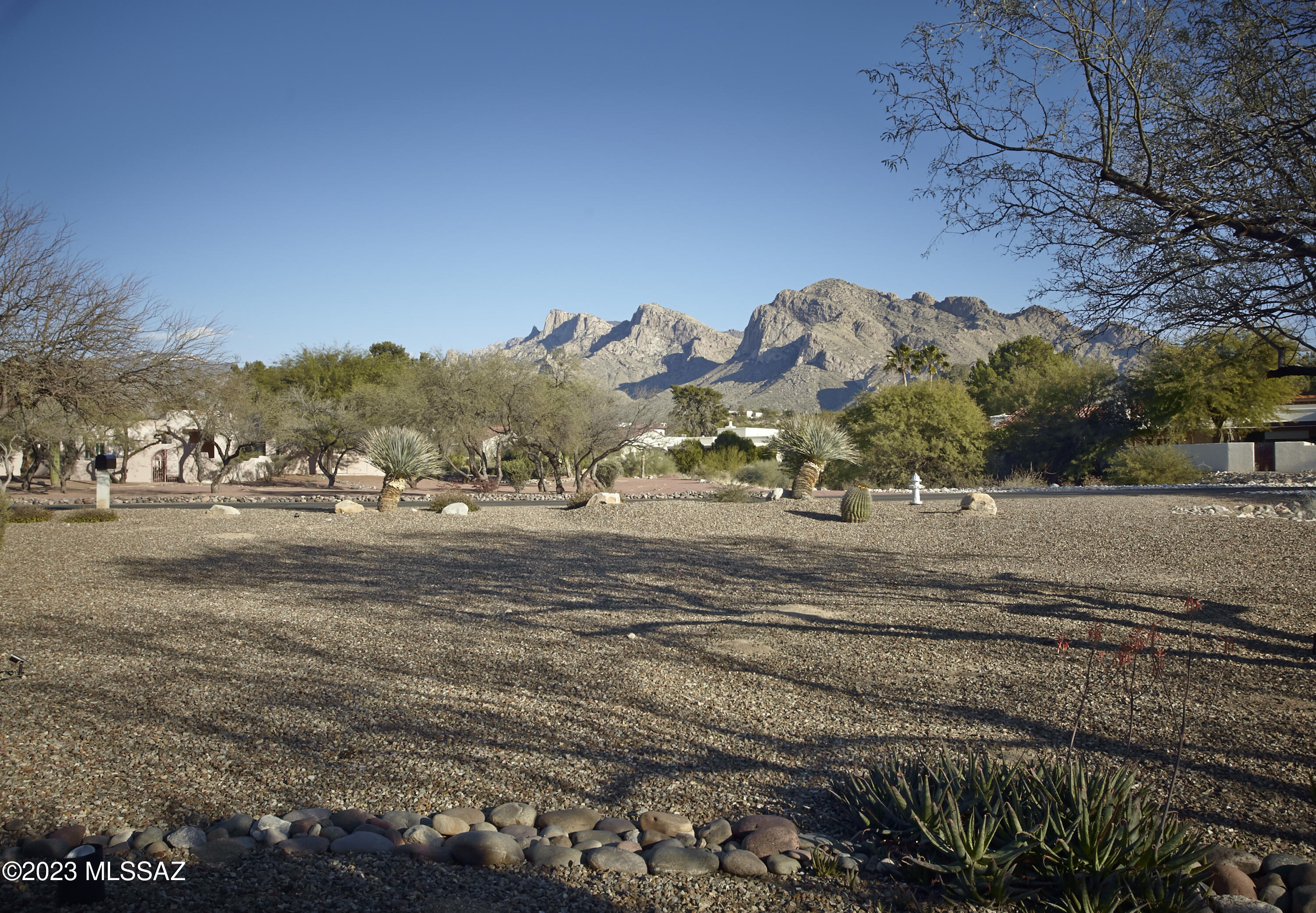 Tucked into a quiet neighborhood in an incredibly convenient part of Oro Valley, 1050 W Saddlehorn Drive awaits.  Sitting on a 1-acre lot with the home set back from the street, there is excellent separation from neighbors and a great sense of privacy.  Eastern exposure from the front yard provides compelling views of the Catalina Mountains, while Southwestern views from the back showcase colorful sunsets. Surrounded by dense vegetation on all sides, there is a deep connection with the desert. Upon entry, you are greeted by an airy space with high ceilings and large windows, which create a green backdrop. The split floorplan places the primary suite and office (or a 5th bedroom) on one side of the home, with 3 additional bedrooms with large closets, a spacious laundry room (Continued) and 2 baths (one ensuite), on the other side.   The primary suite includes outdoor access, a space for a seating, extremely large walk-in closet, and a spacious bath with travertine tile.  A living room and cozier family room with an inviting fireplace create perfect settings for both entertaining and more casual living.  The well-appointed kitchen includes hickory cabinets, stainless appliances, granite counters, a retractable downdraft ventilation system for the gas cooktop and a beverage fridge.

The magnificent outdoor space is indeed a place that residents will enjoy year-round. Desert plants and mature well producing citrus trees are dotted throughout. Plentiful hardscape creates opportunities for seating in multiple locations. Thoughtfully designed to feel natural, the heated swimming pool includes a soothing fountain and adjacent in ground spa. The enclosed side yard with a pet door accommodates residents with dogs.
 
This location offers amenities galore within a tight radius.  Only steps from the home sits the neighborhood park and direct access to "The Loop" 135-mile multi-use path, perfect for cycling, walking, and running. The Amphi school district has highly rated public and charter schools, along with various private institutions. Within 5 minutes, there are multiple restaurants, stores, the El Conquistador golf club, Oro Valley Community Center, a large public library, and the Oro Valley Aquatic Center. Within 10 minutes you will find Whole Foods, Trader Joe's, Tohono Chul Gardens, Catalina State Park, Northwest Medical Center, a movie theater and much more.  For those commuting to major employers, most will be found within a 30 minute drive.