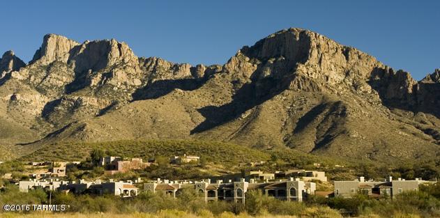 Great 2 Bedroom, 1 Bath condo in the prestigious La Reserve community in Oro Valley. This community defines the mystical beauty of desert living on the edge of the Coronado National Forest. Amenities include:9 ft ceilings, fireplaces,oval garden tubs,alarms,spacious walk-in closets,private patio,designer floor coverings,window treatments, & lighting fixtures,carports,garages,heated pool & spa with sparkling fountain,fitness center,business center & much more!