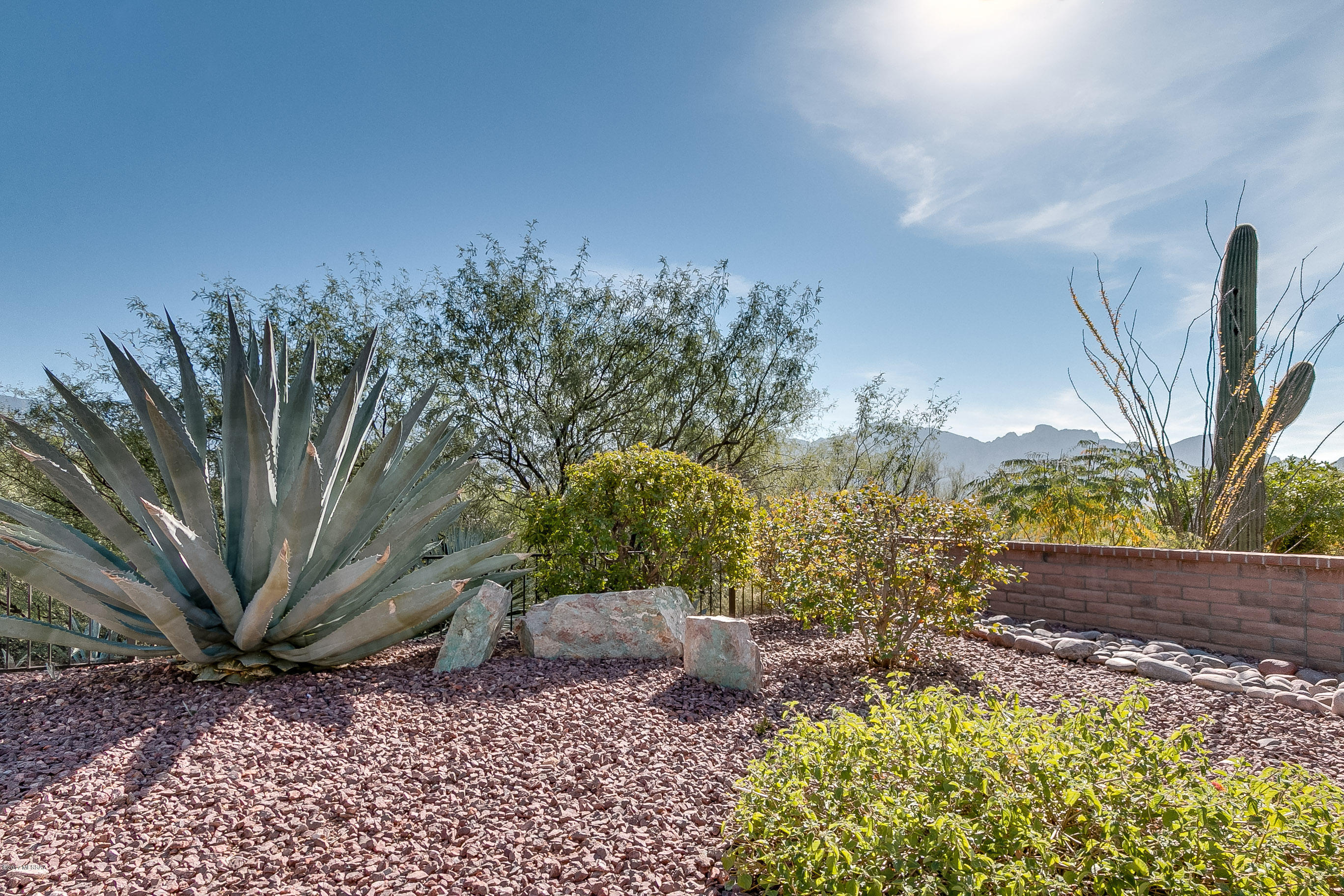 Sun City Vistoso Unit 8(1-67) - Residential