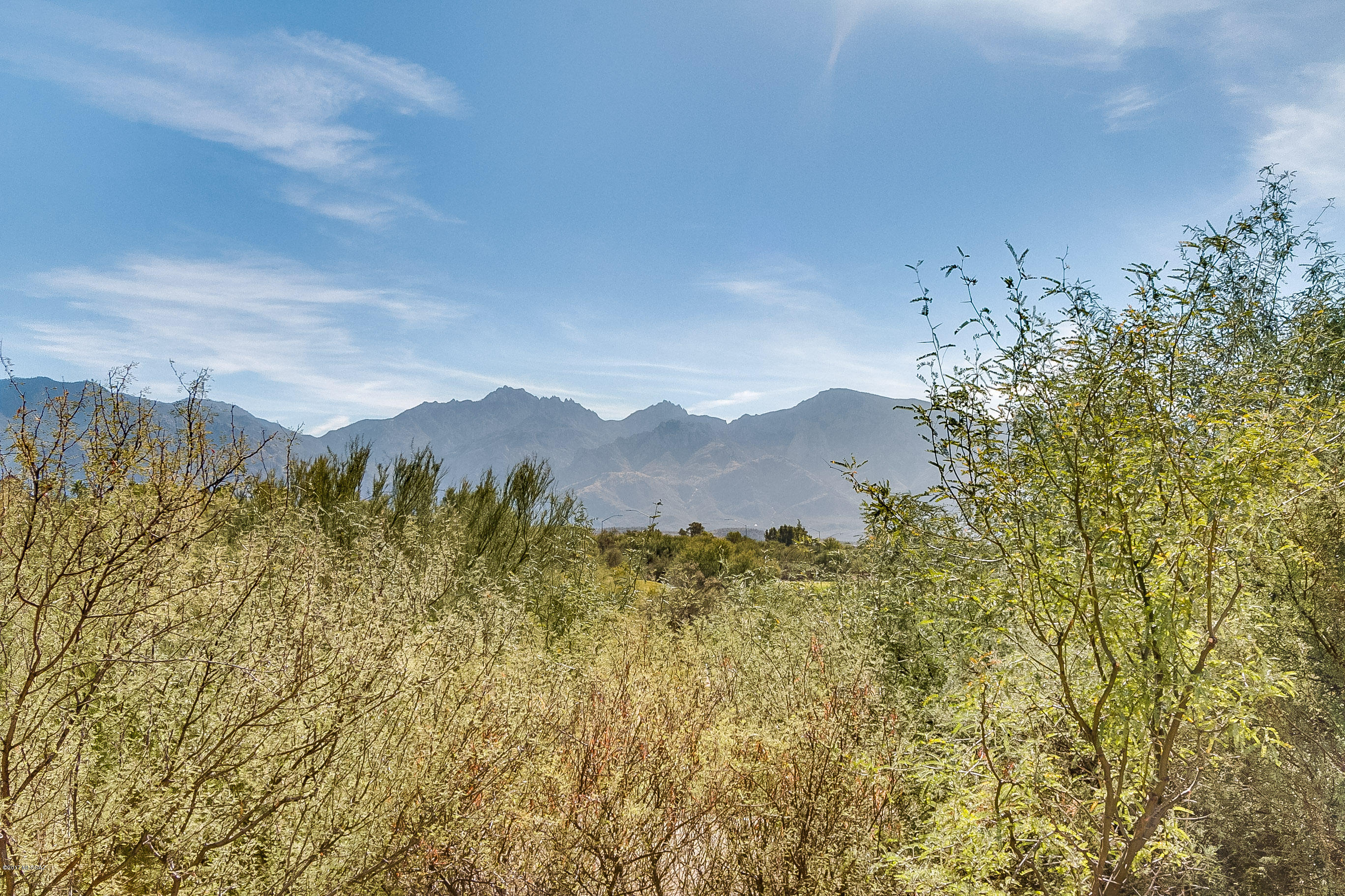 Sun City Vistoso Unit 8(1-67) - Residential
