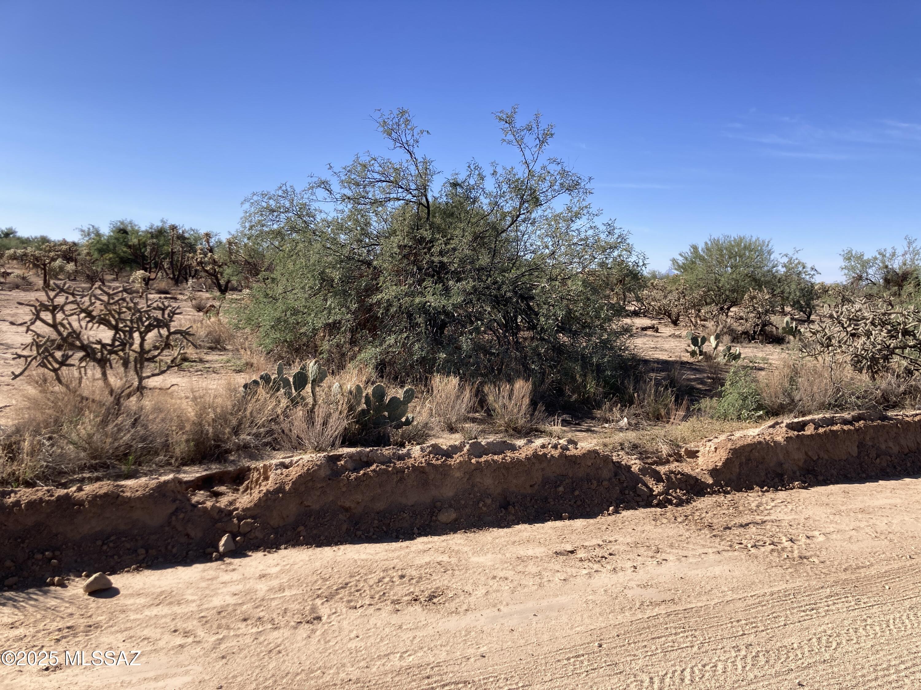 Diamond Bell Ranch - Tucson (1-229) - Land