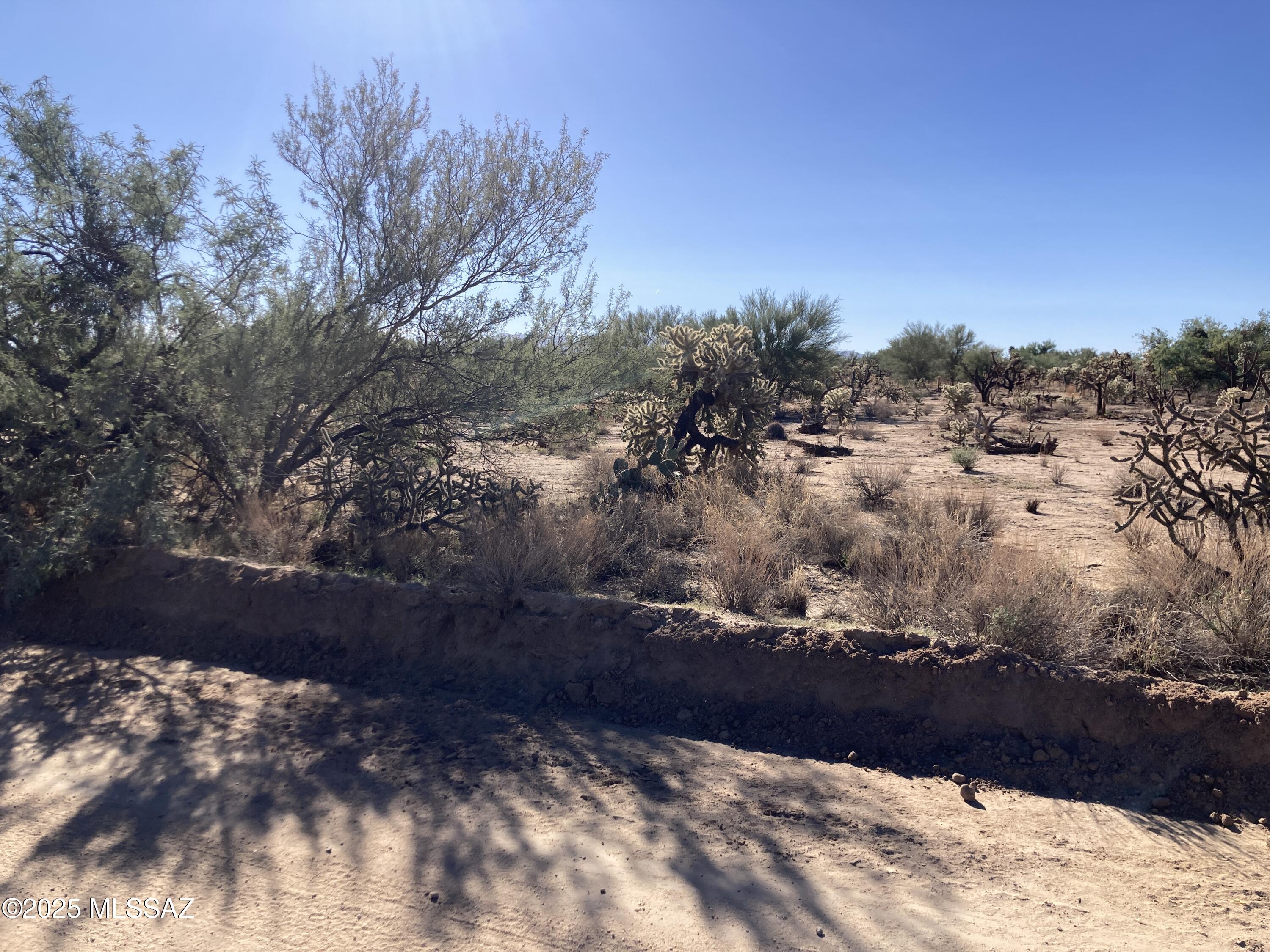 Diamond Bell Ranch - Tucson (1-229) - Land