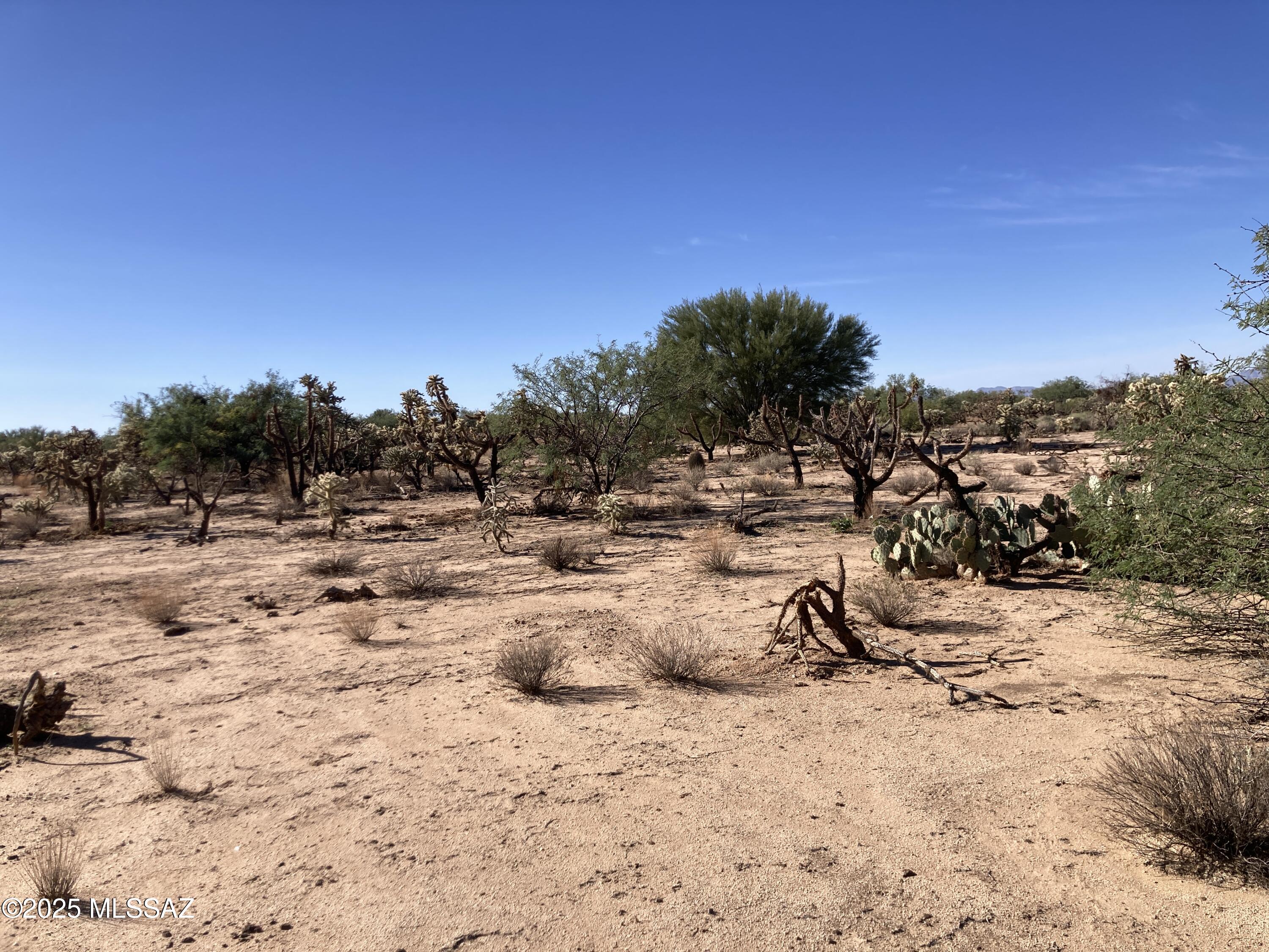 Diamond Bell Ranch - Tucson (1-229) - Land