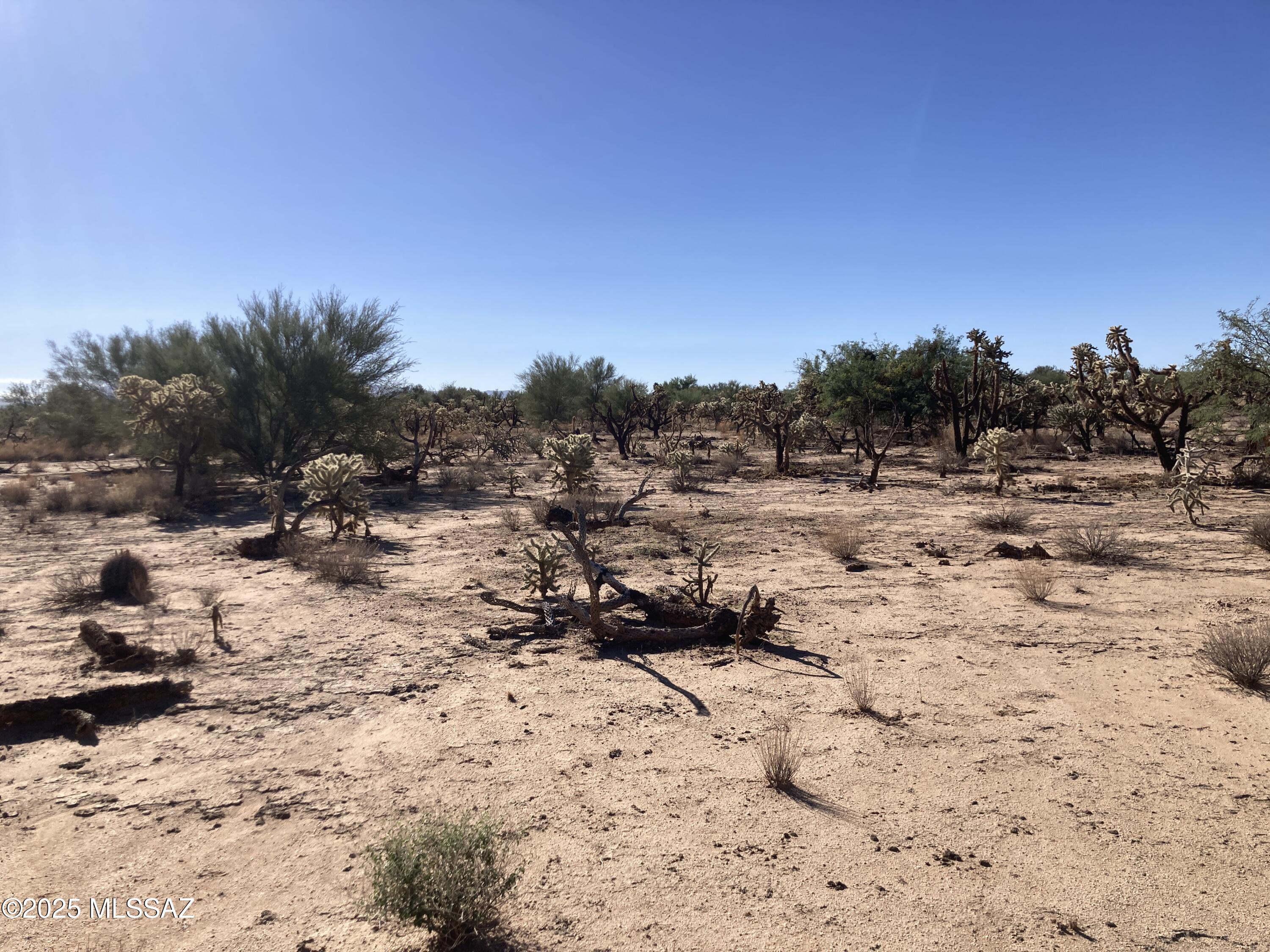 Diamond Bell Ranch - Tucson (1-229) - Land
